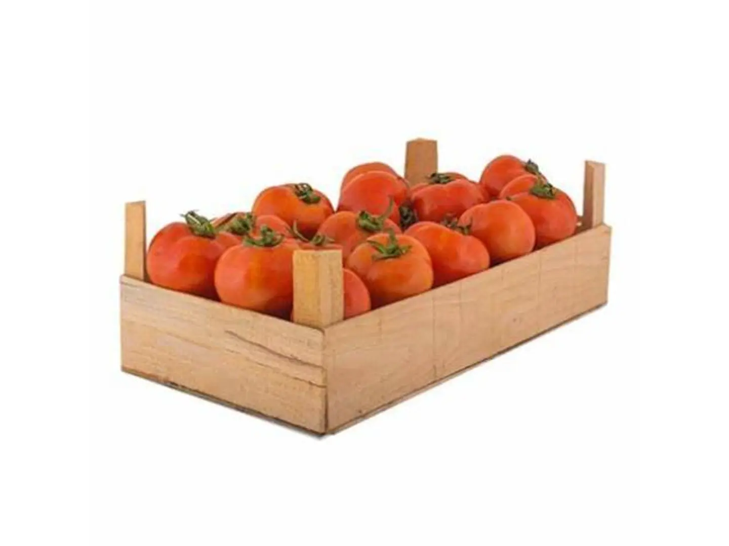 Small Tomato Styrofoam