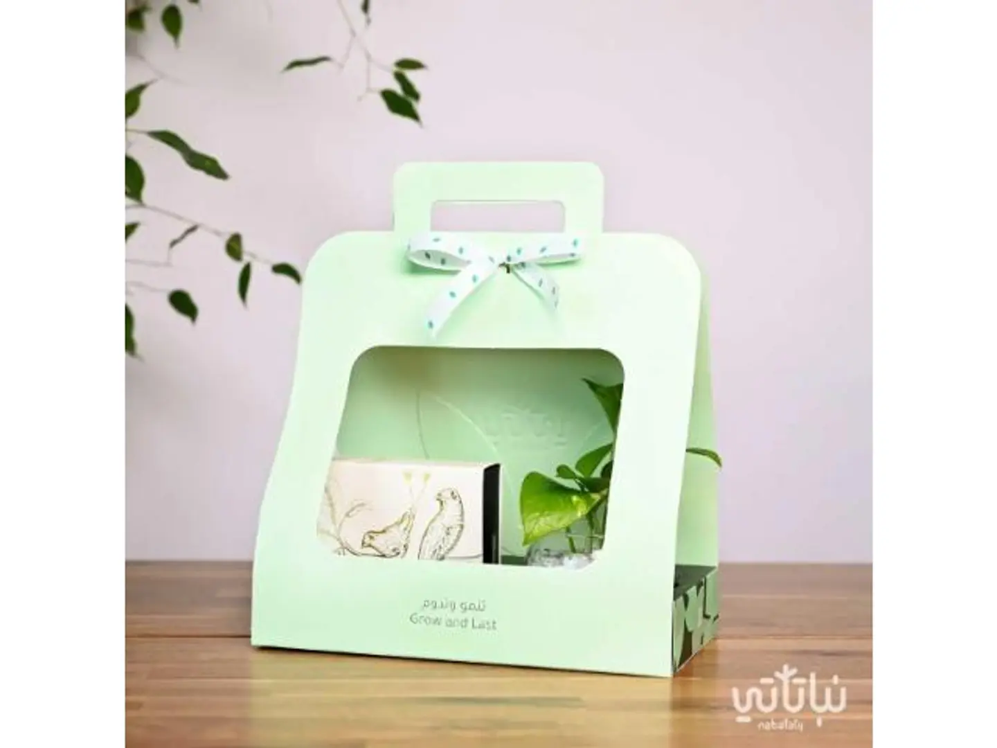 Pothos Salted Caramel Gift