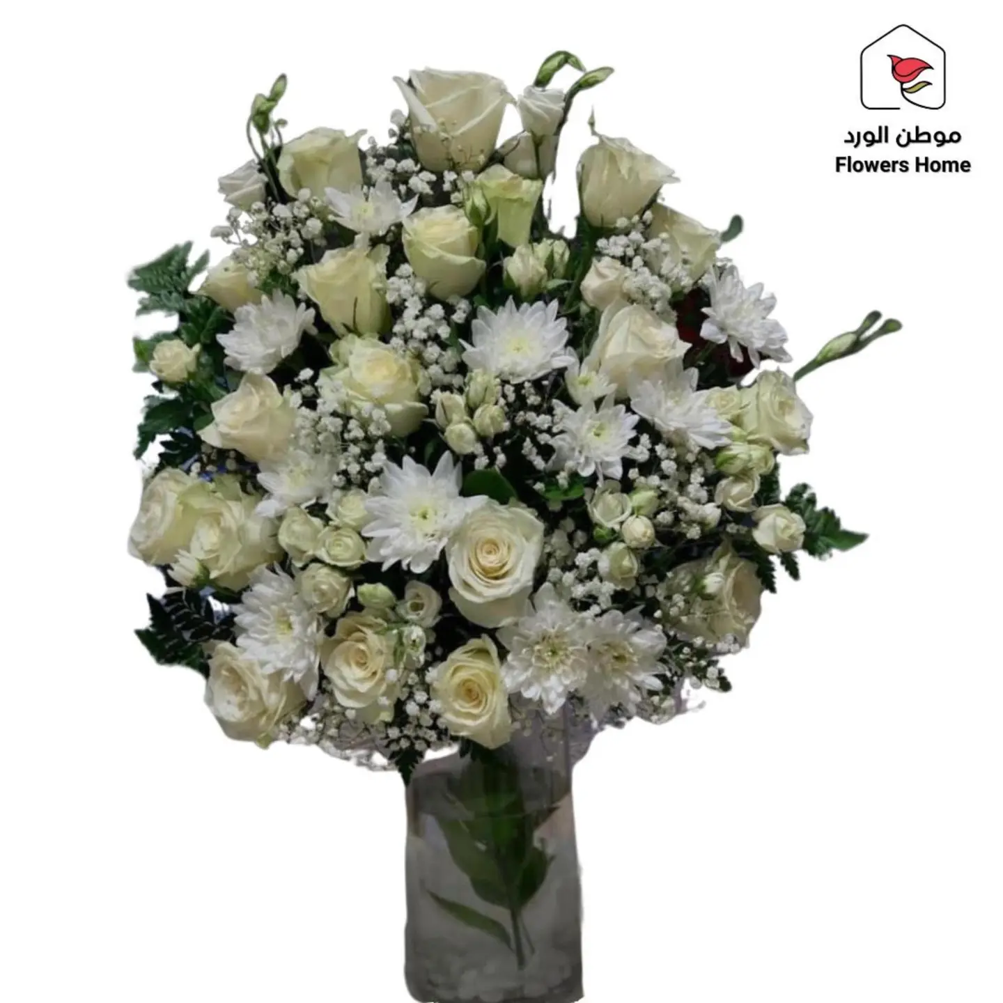 فازة 1