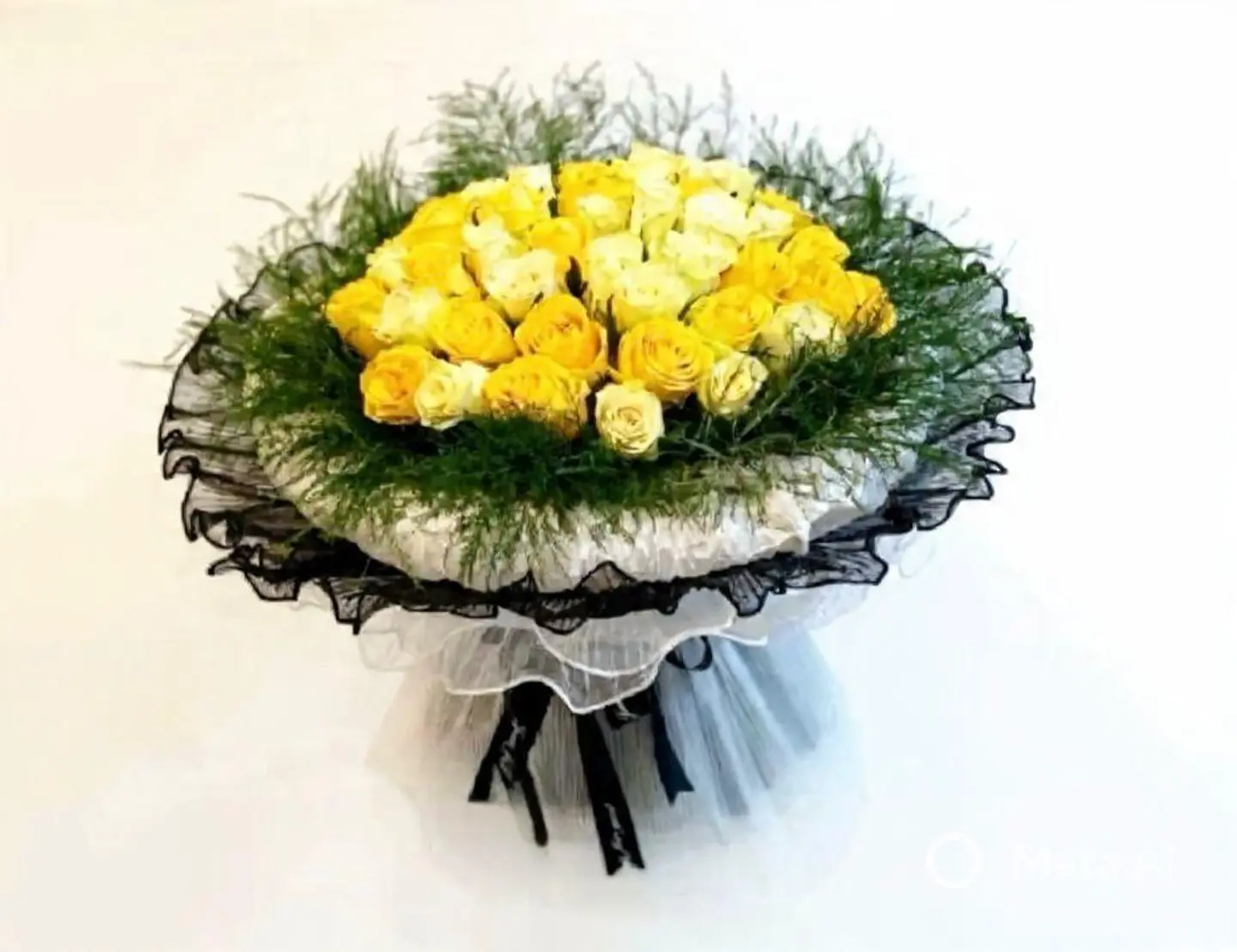 Sb Sunlit Serenade 152