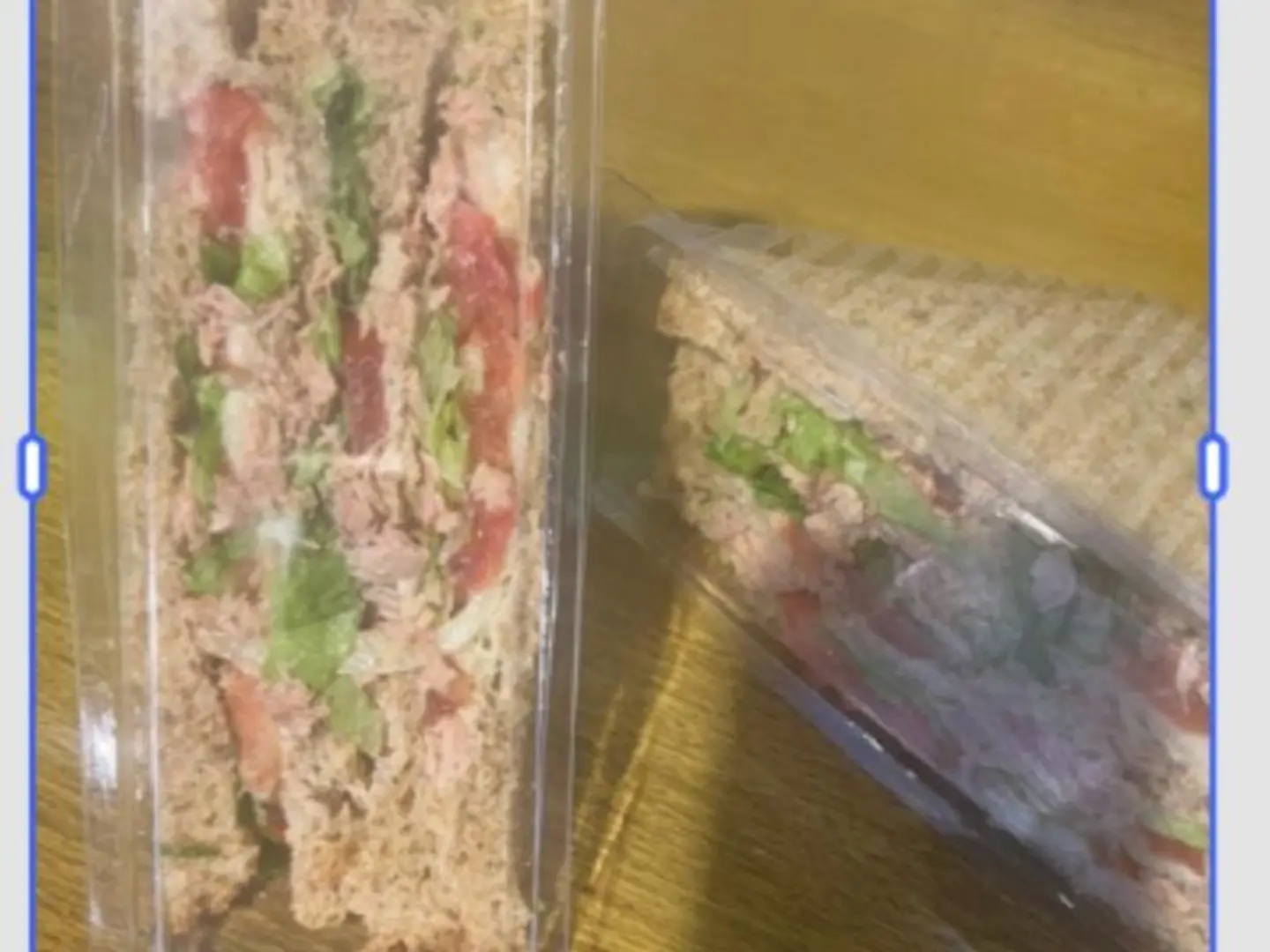 كلوب دجاج