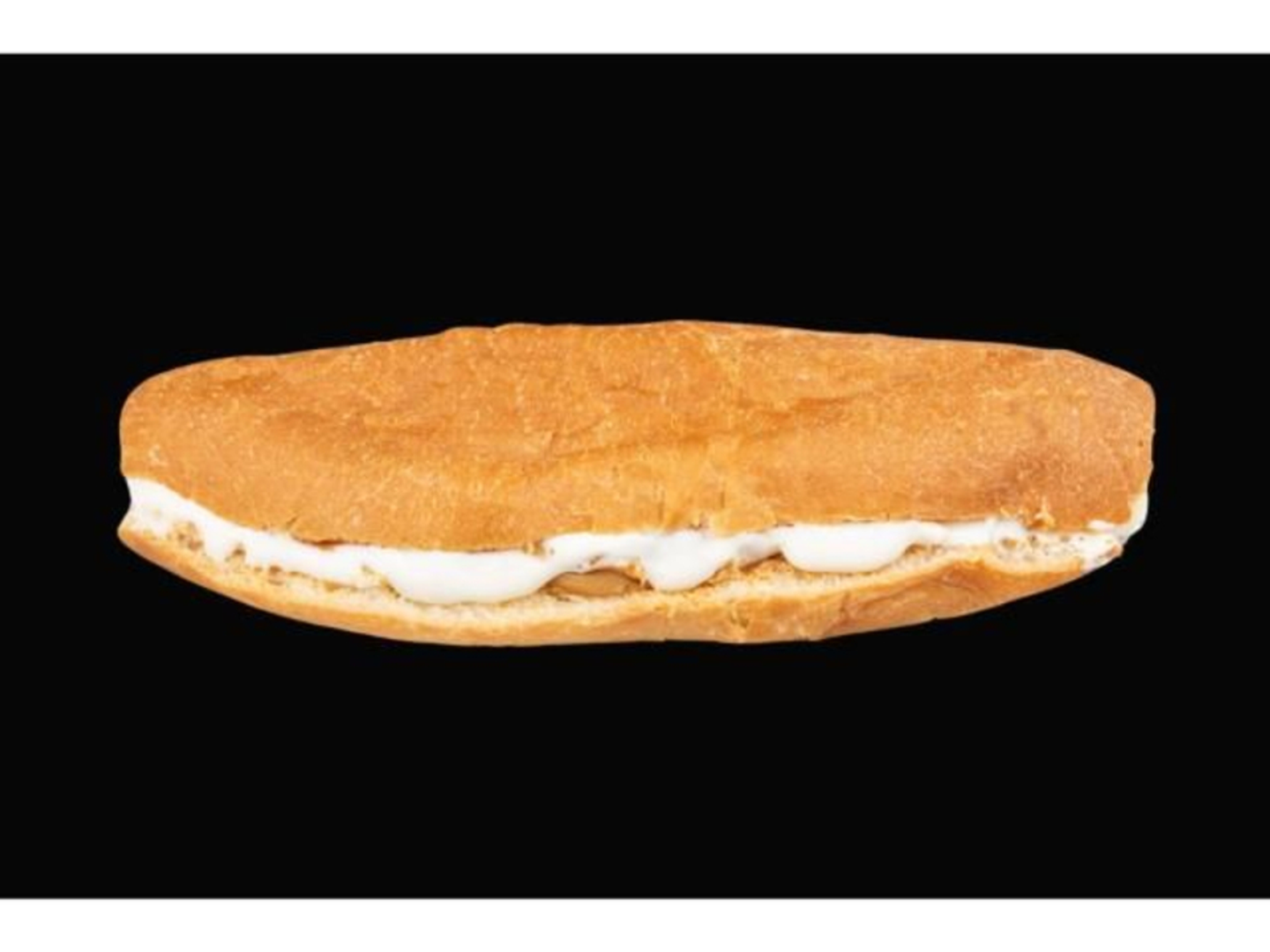 Melted Cheese Sandwich