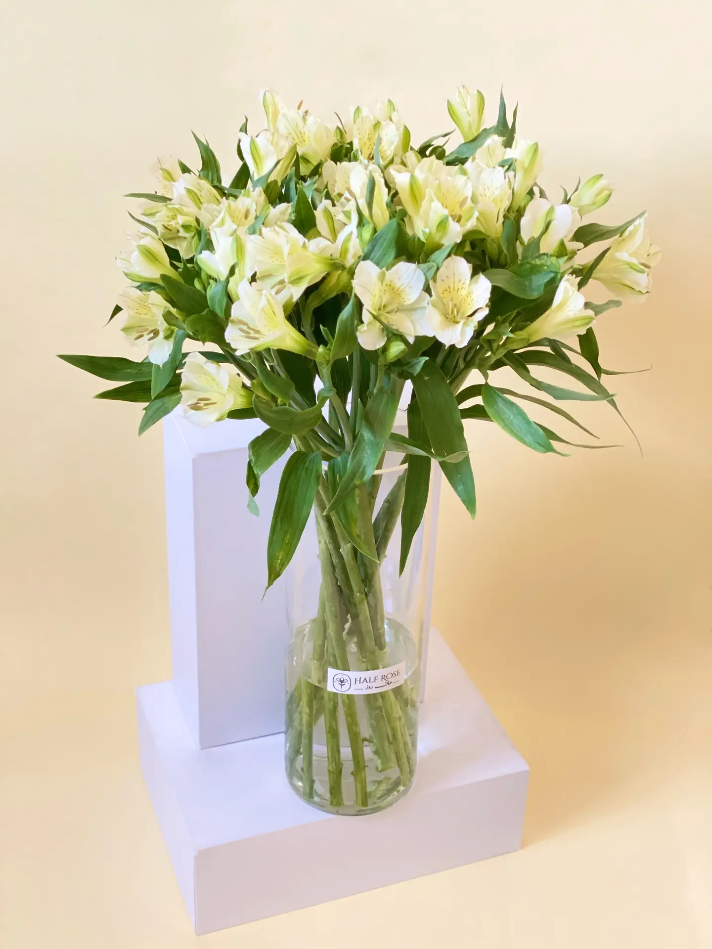 White Astomeria Vase