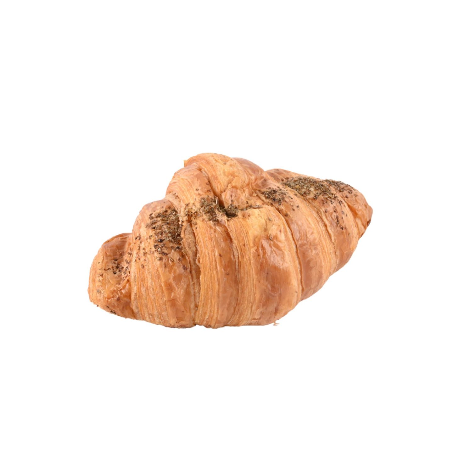 Cheese Croissant