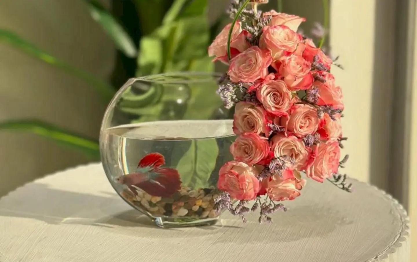 Betta Fish Vase With Pink Roses