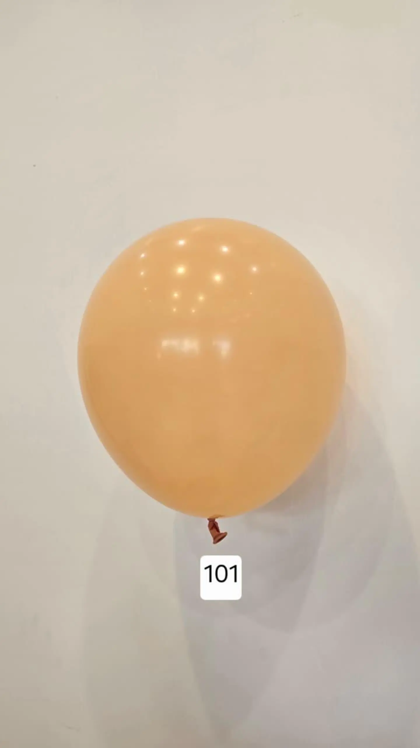 Balloon Number 101