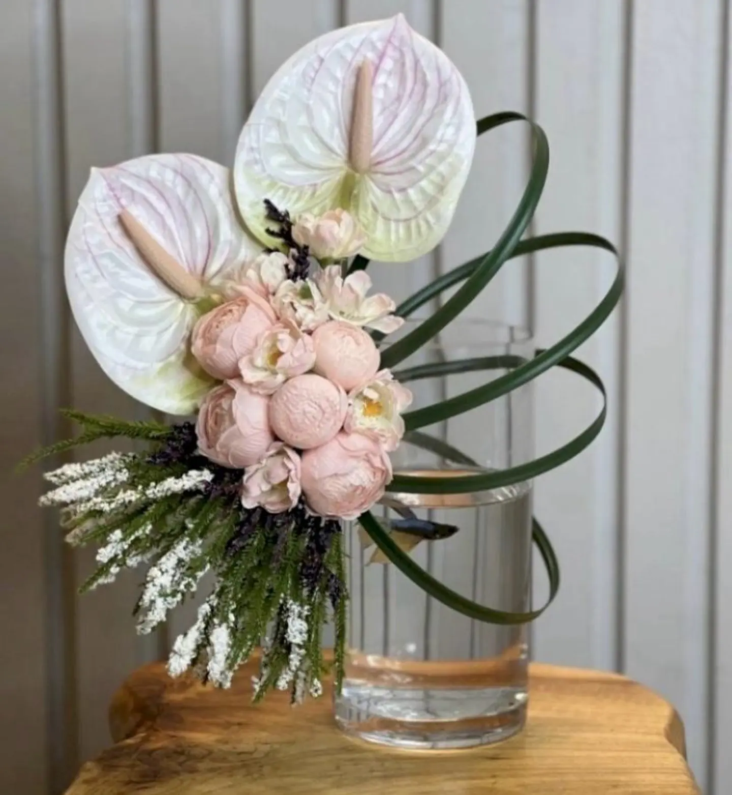 فازة السمك الفايتر