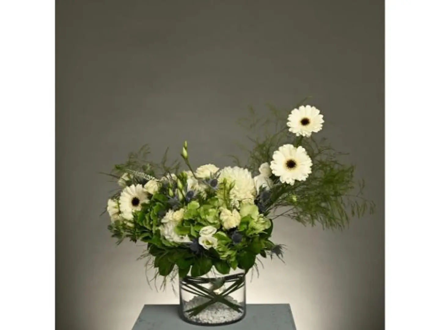 White Gerbera Vase