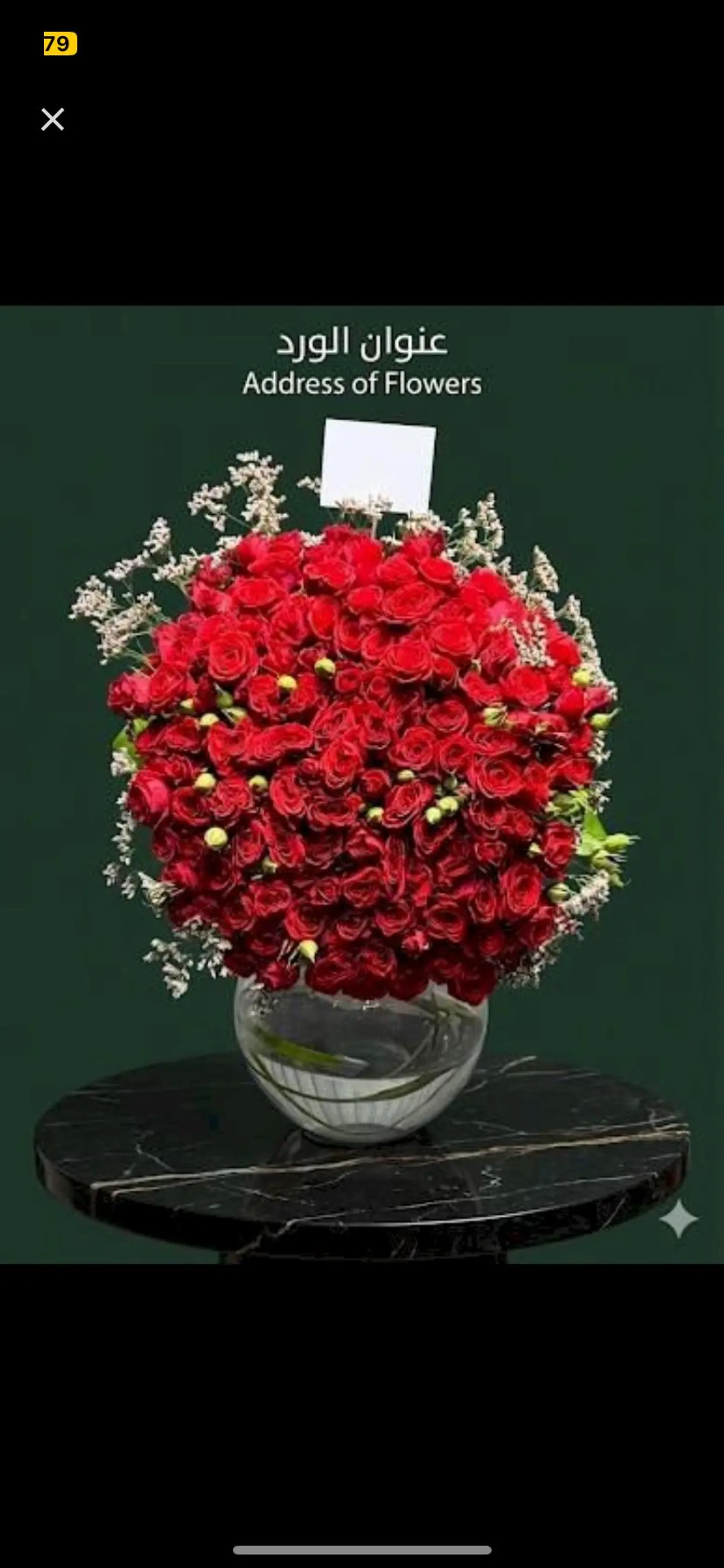 فازة فلو ريد 709