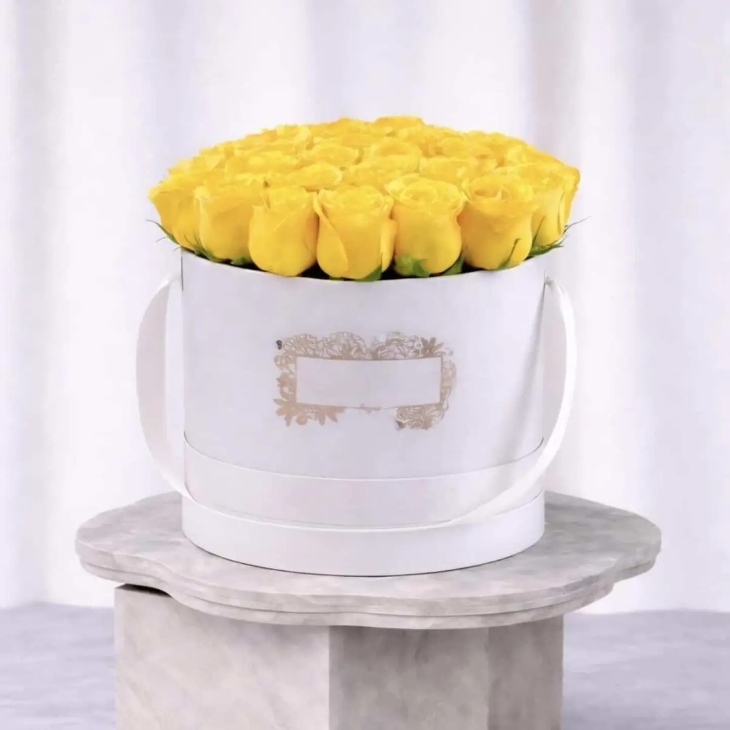 يولو روز بوكس