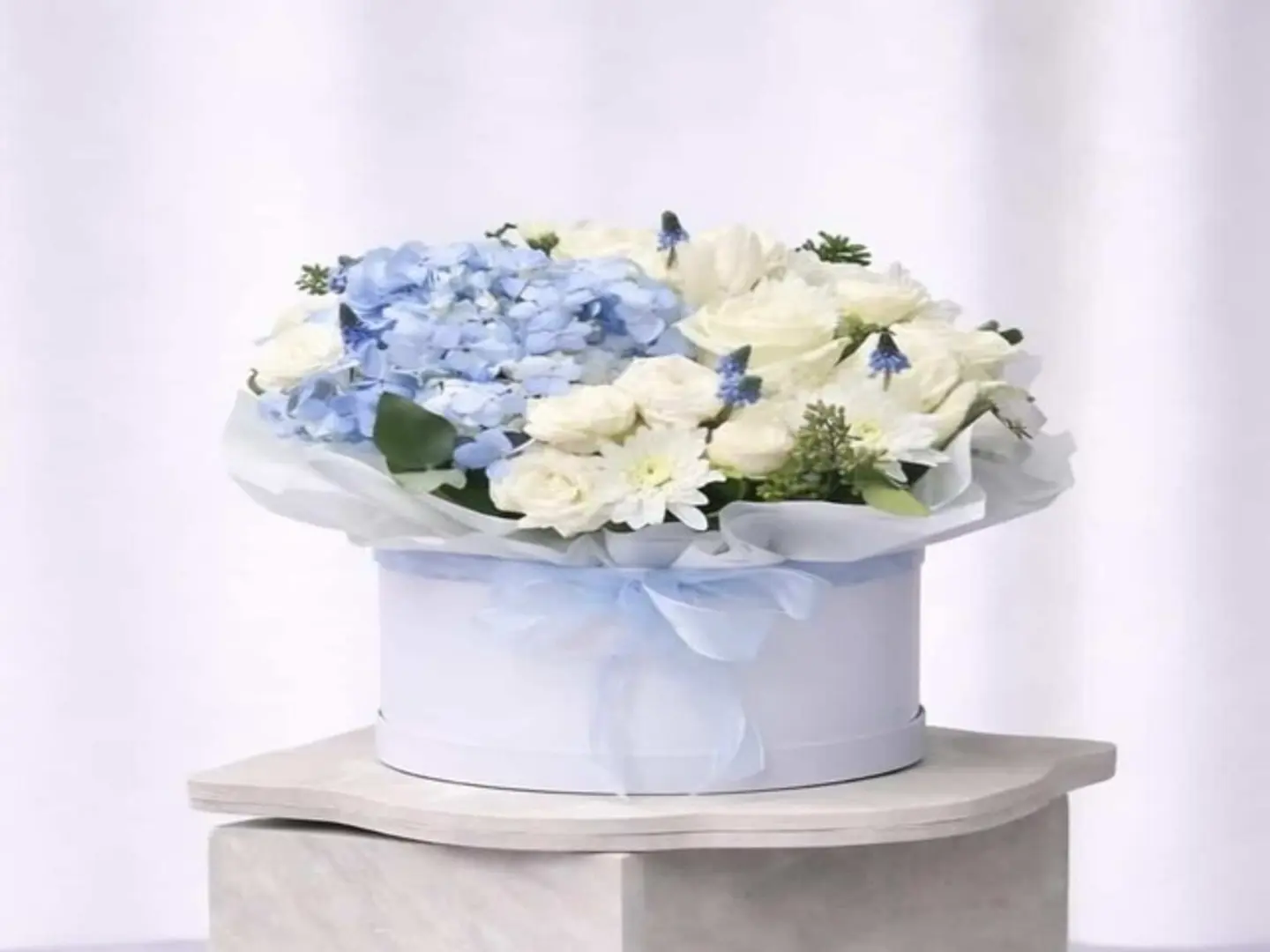 بوكس سكاي بلو