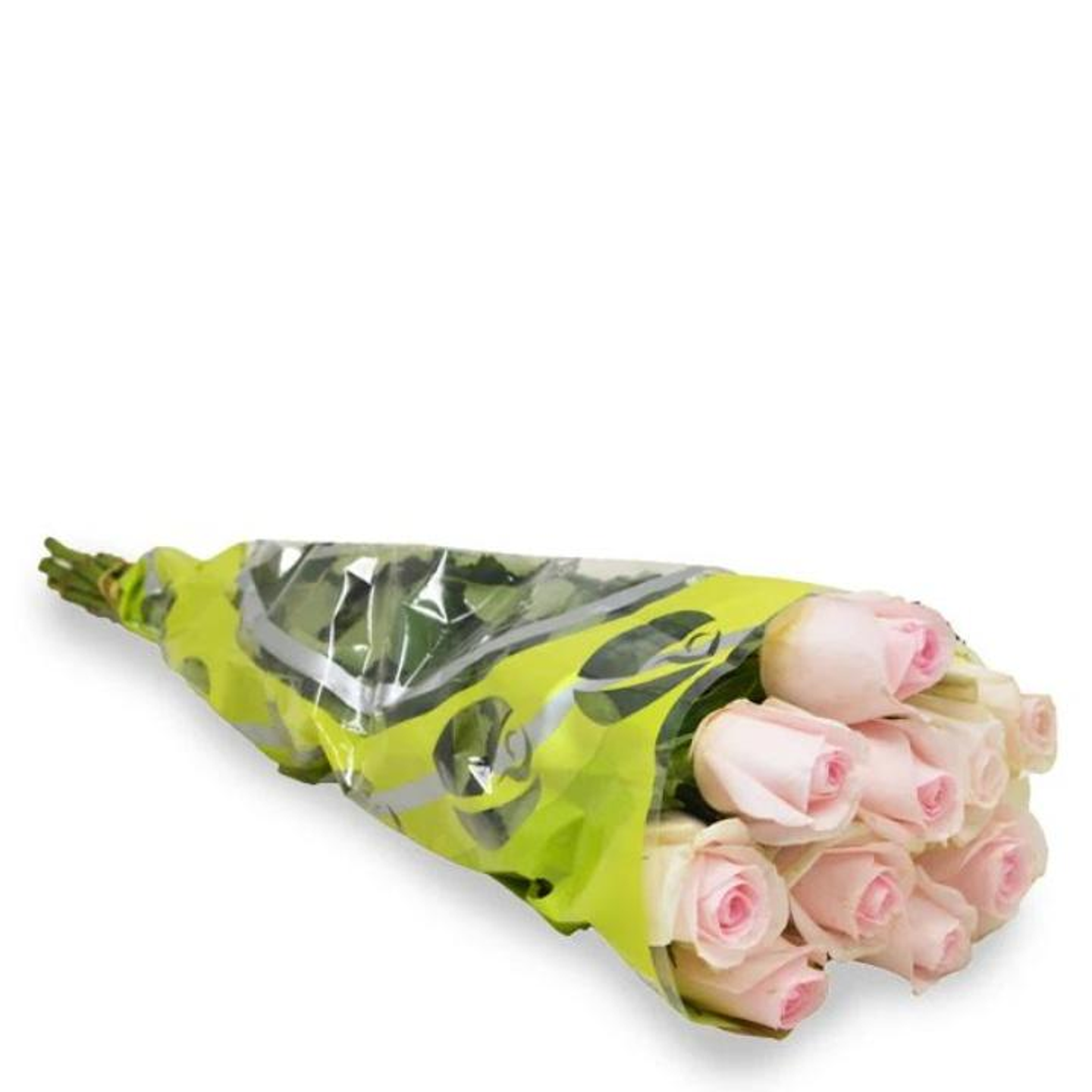 جوري وردي فاتح