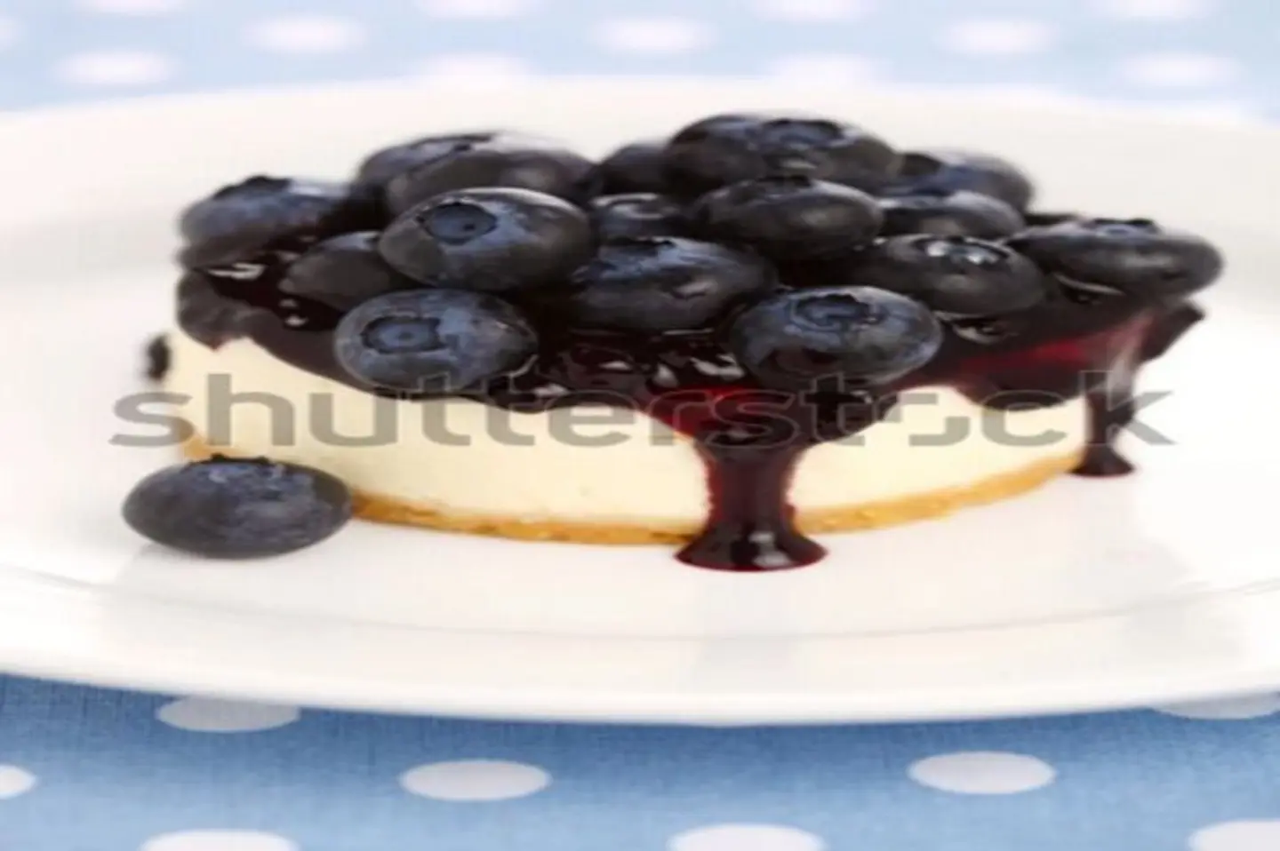 Blueberry Cheesecake