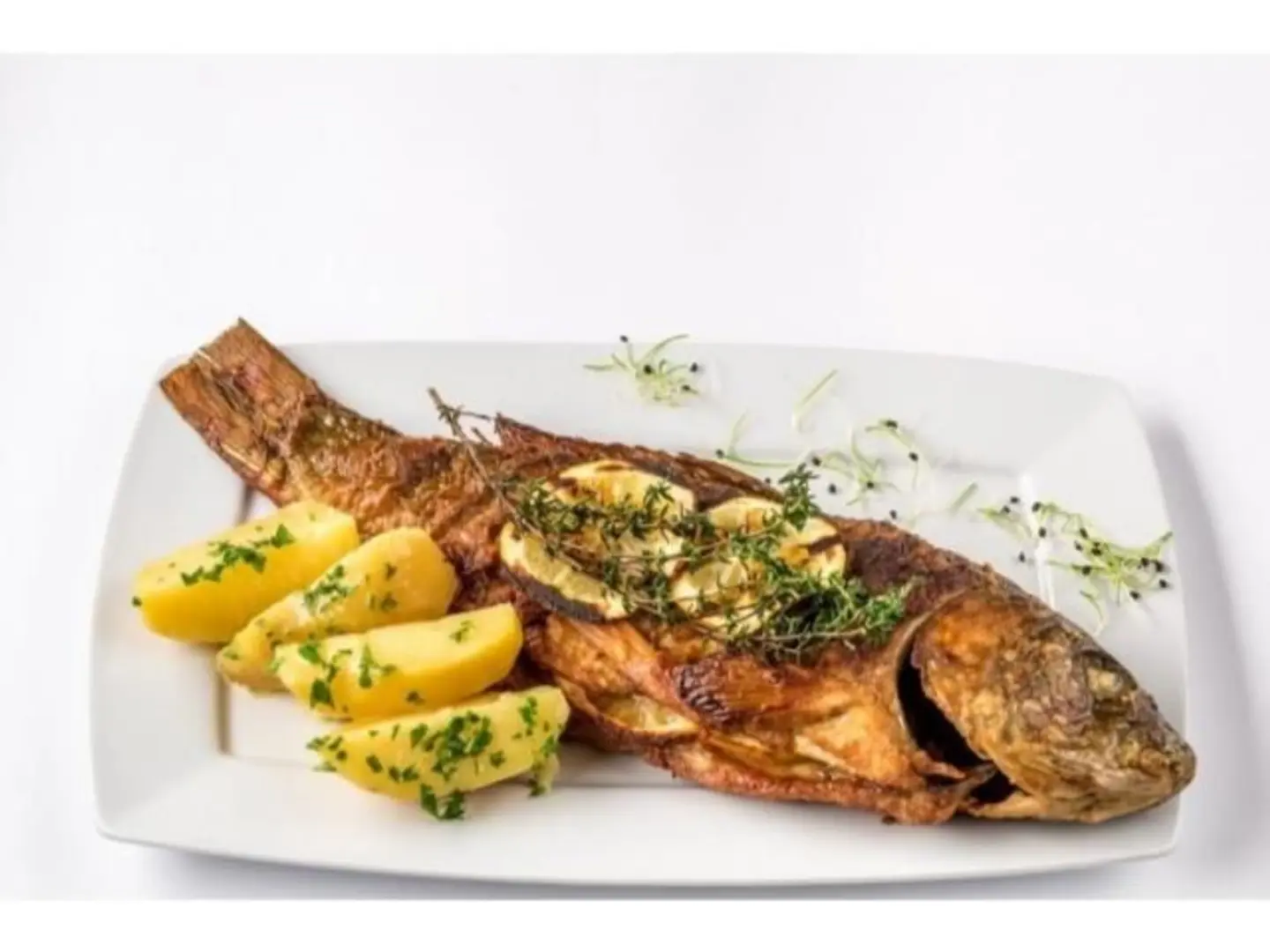 Grilled Fish