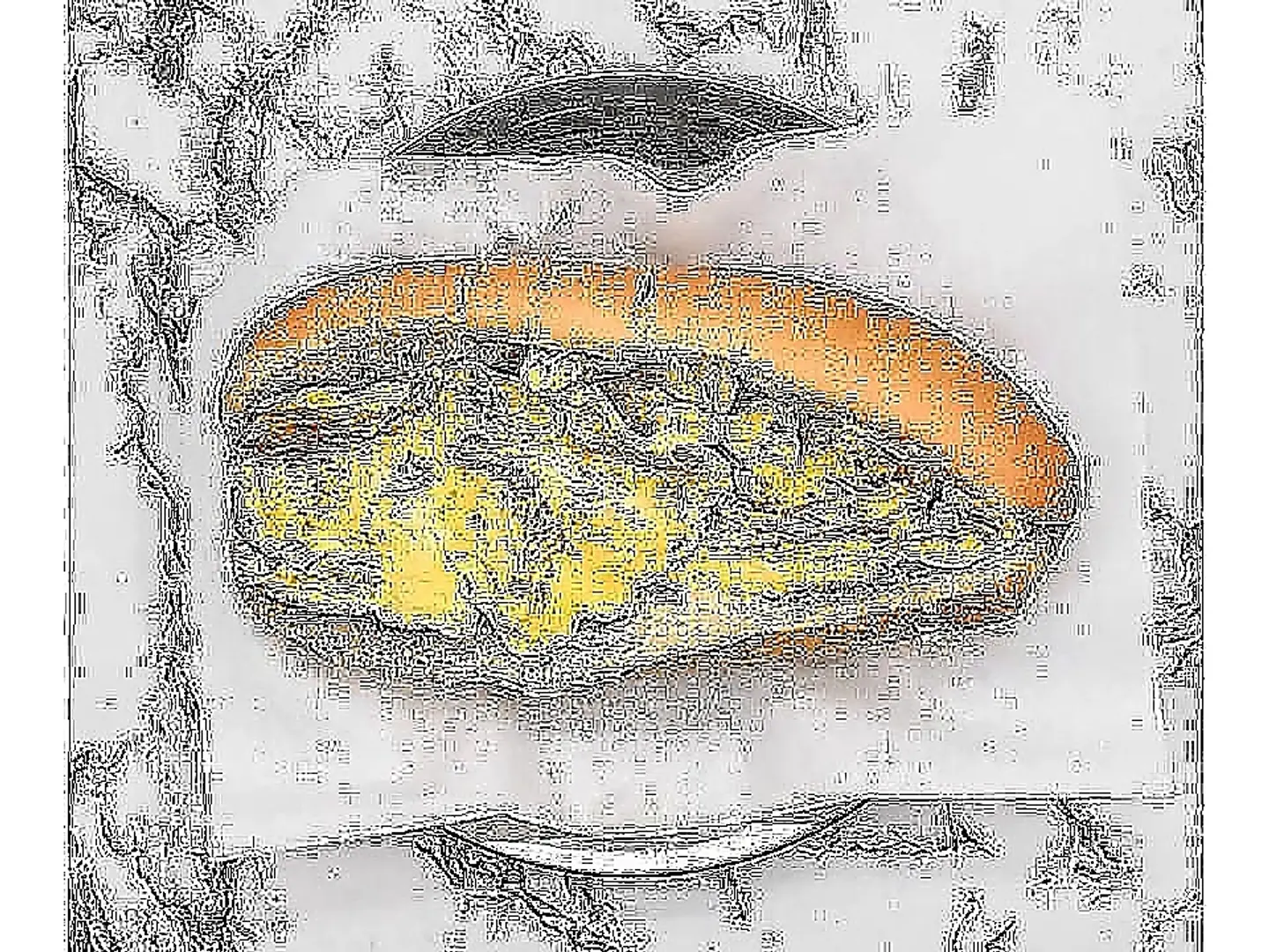 بيض مطجن
