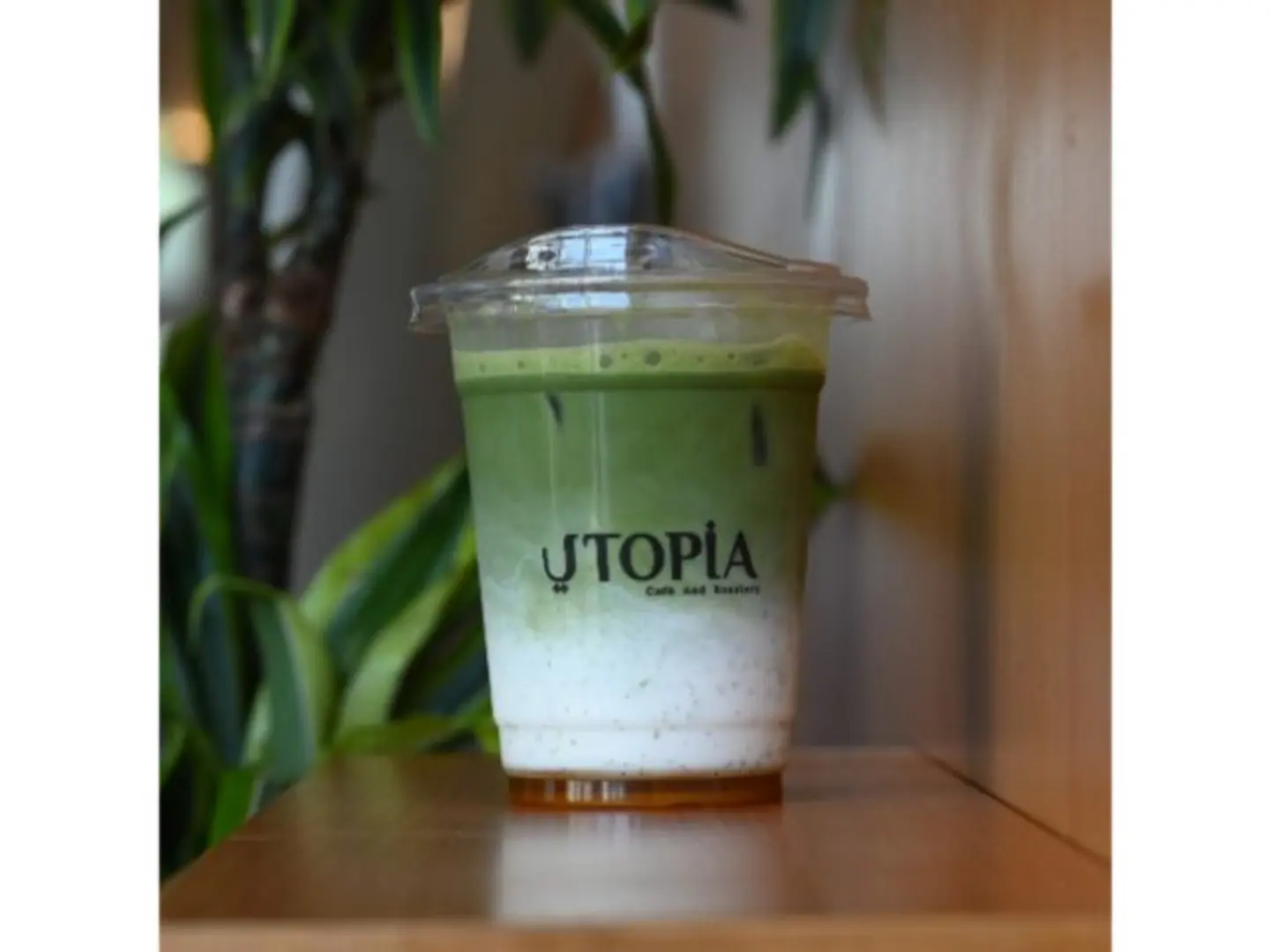 Honey Matcha