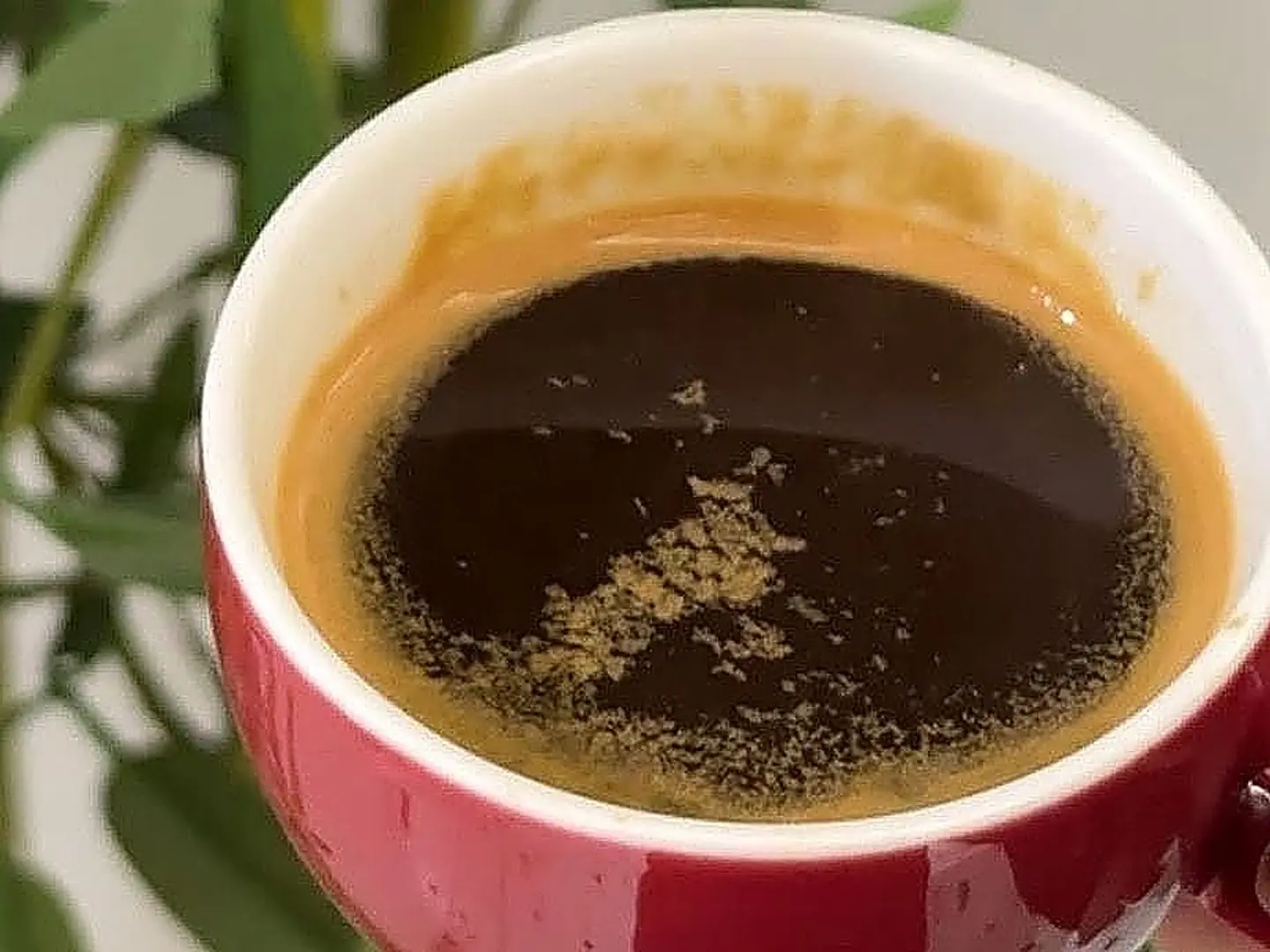 اسبريسو