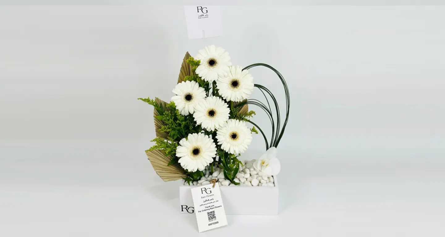 بوكس ورد رقم.١٣٣٦٧