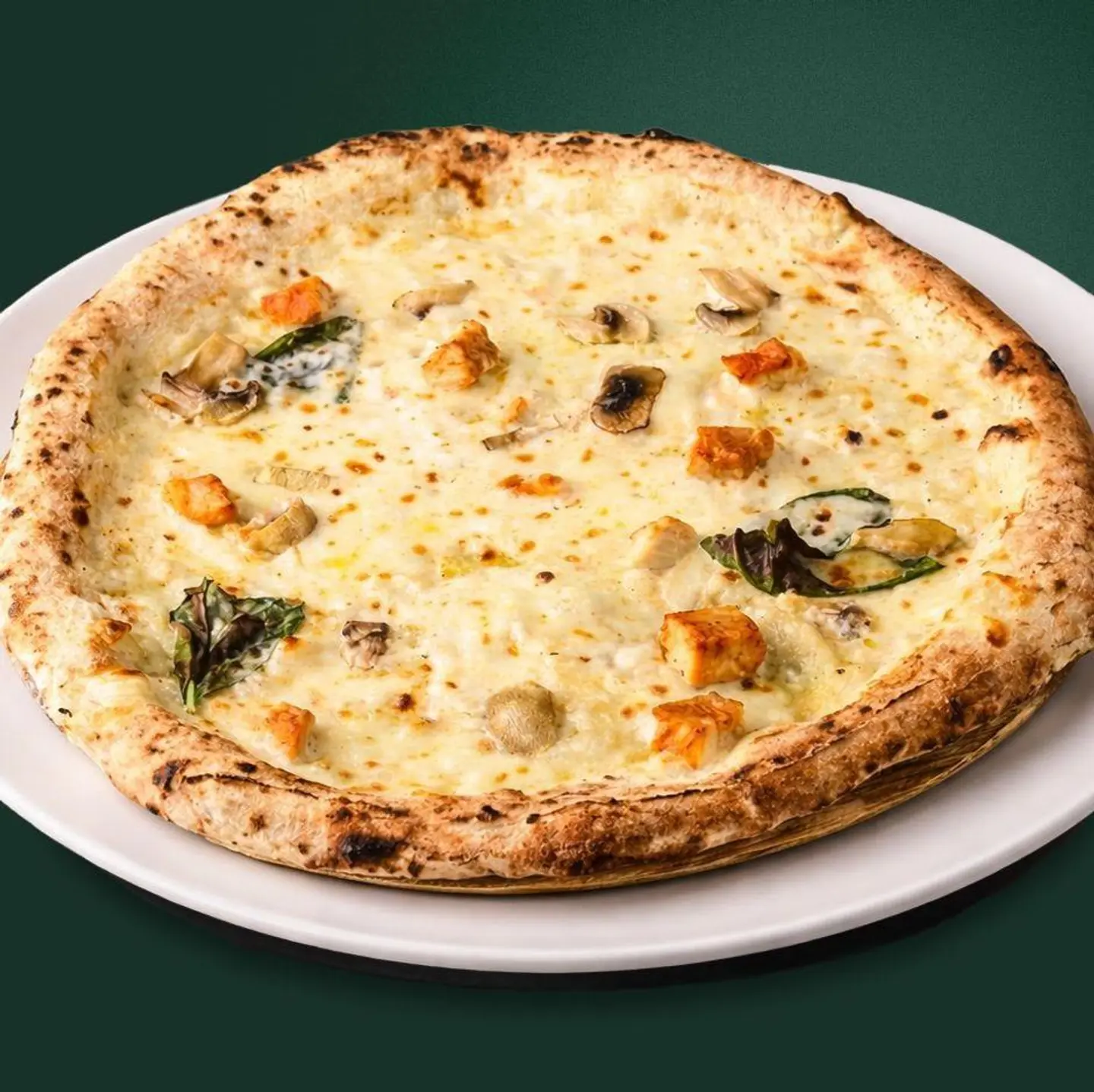 Chicken Alfredo Large