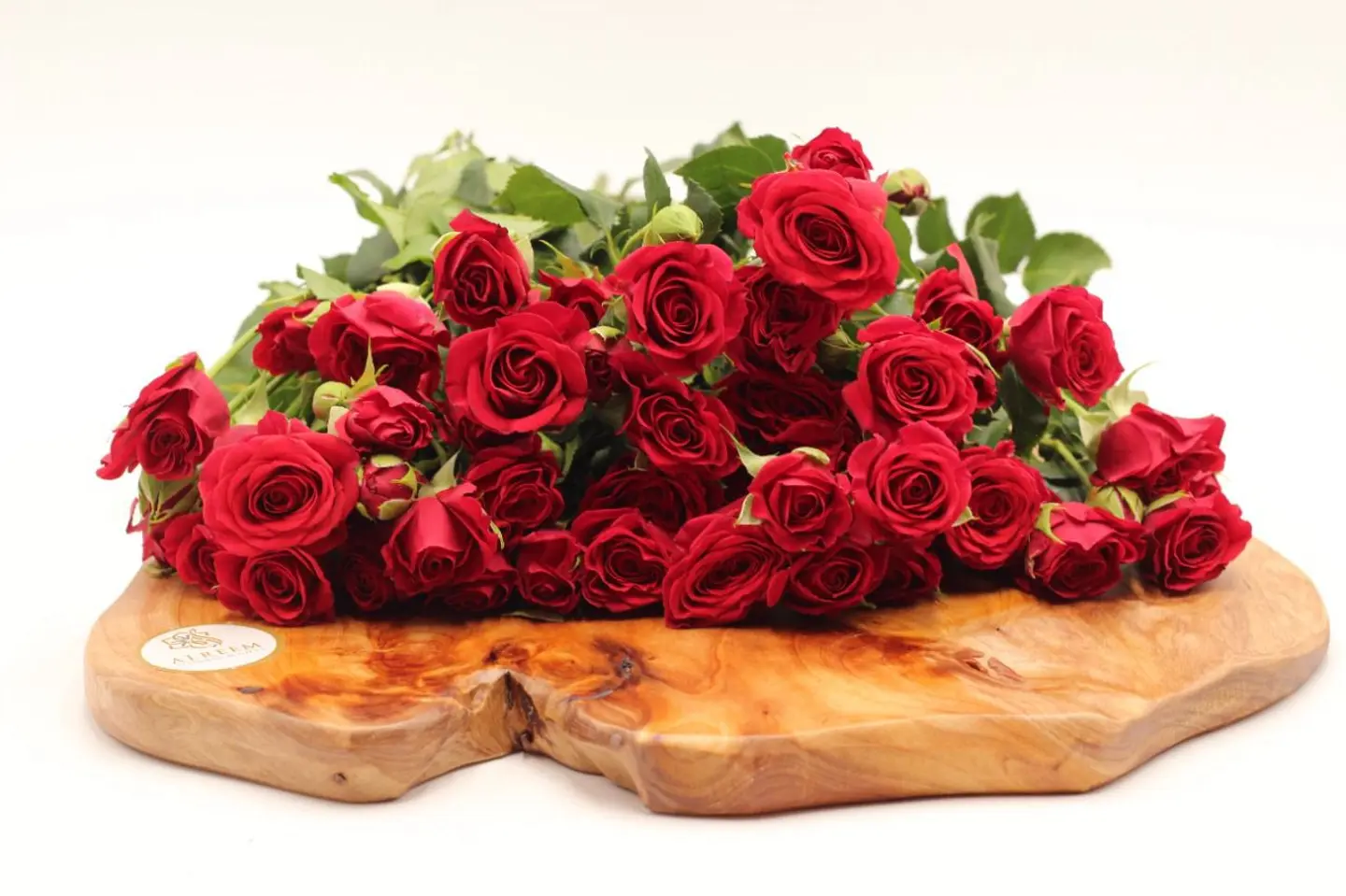 بيبي روز احمر