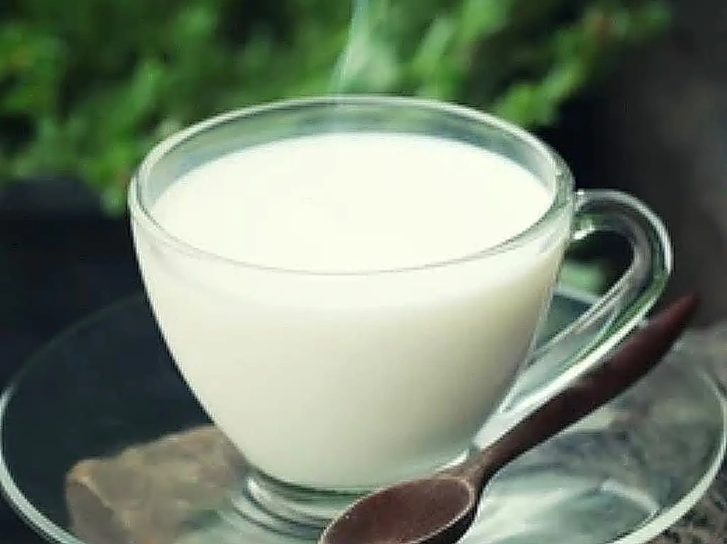 Hot Milk 250 Ml