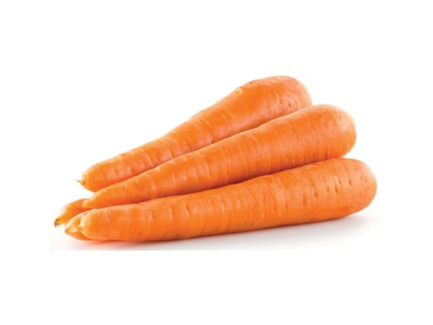 Carrot