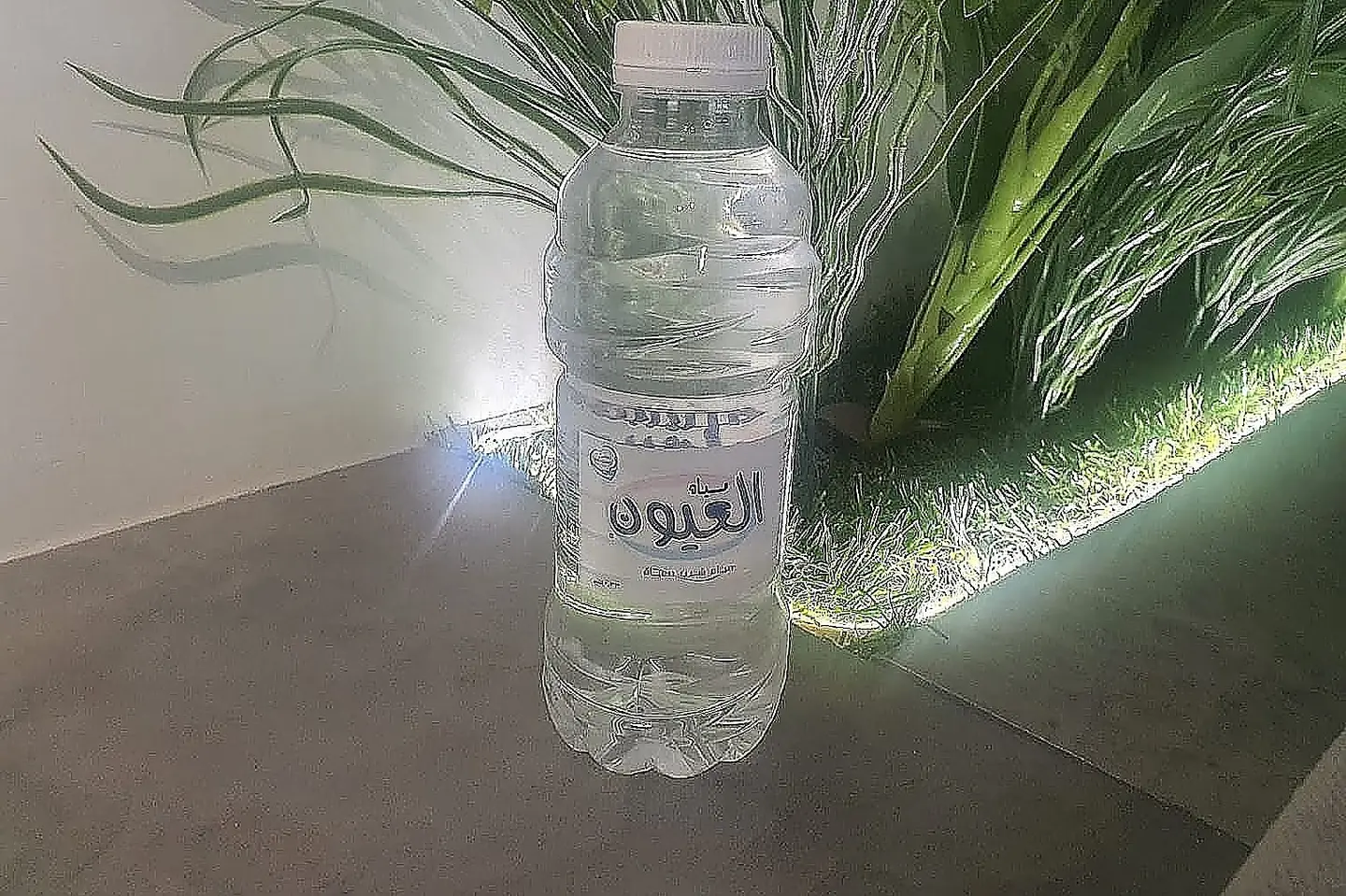 Al Oyoun Water