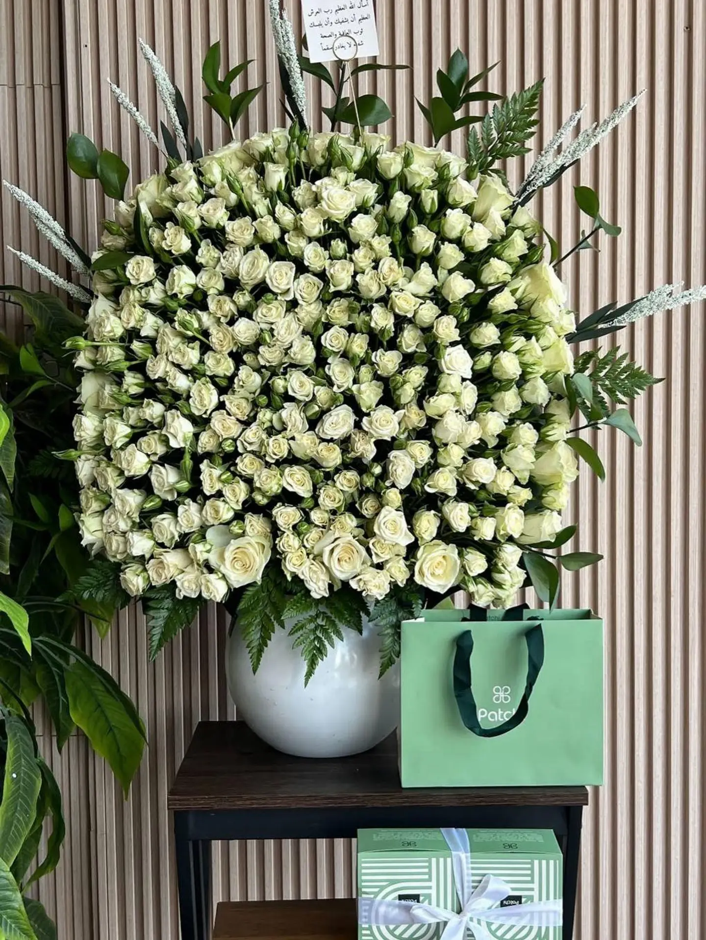 ف الفازه العملاقه مع الحلا من باتشي