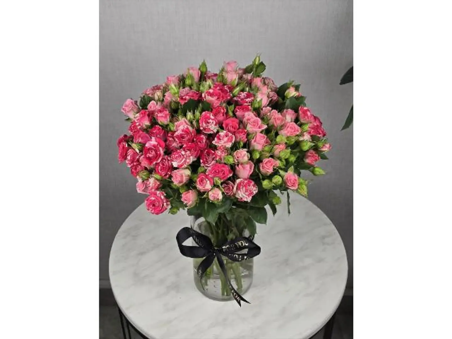 فازة بيبي جوري وردي