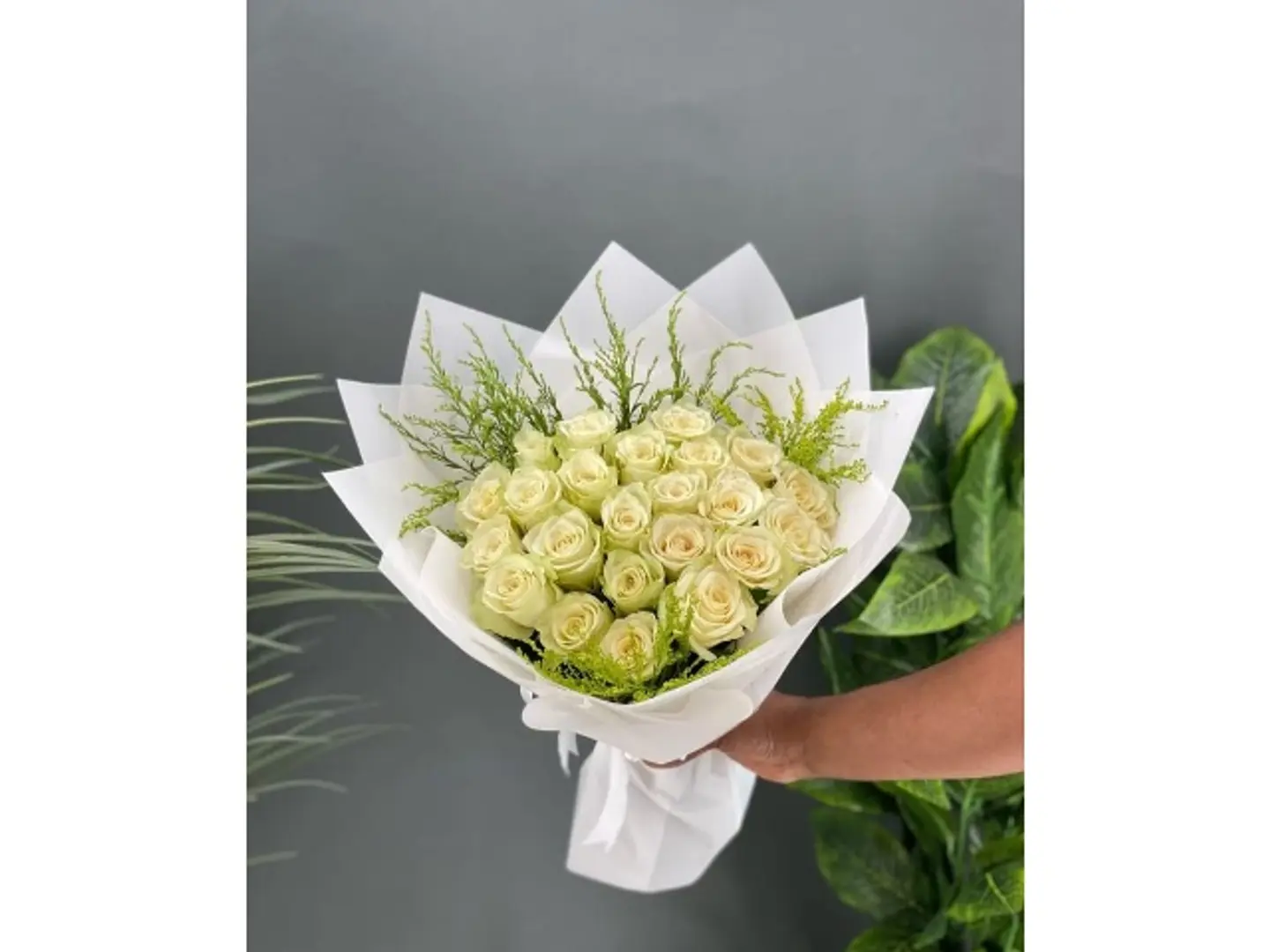 الباقة البيضاء