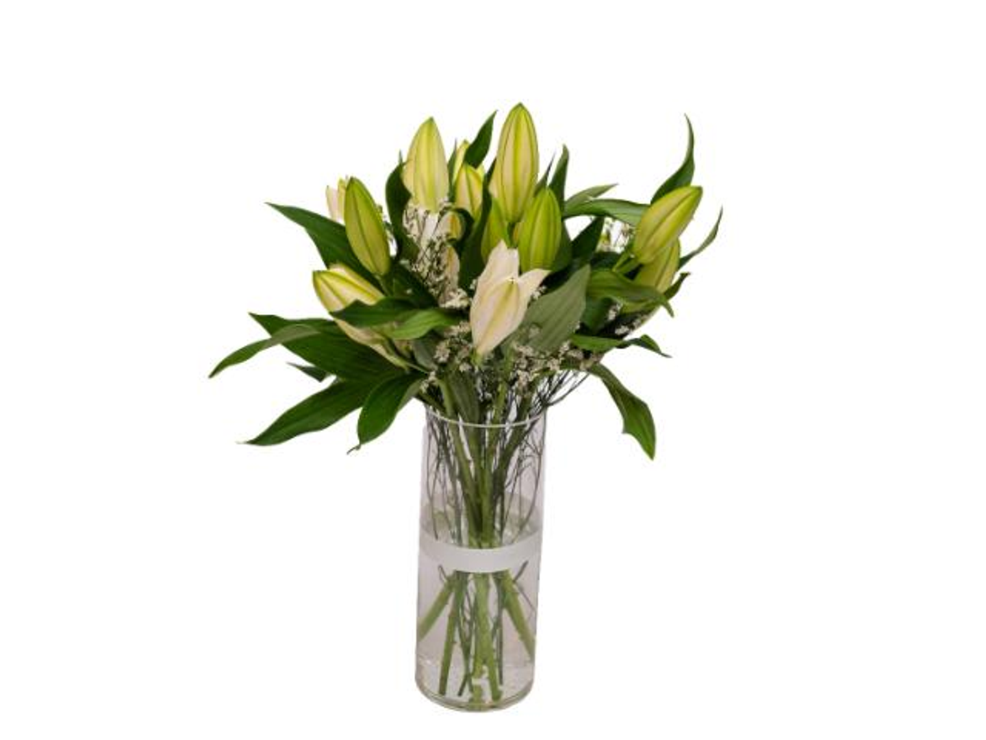 فازة الورده البيضاء