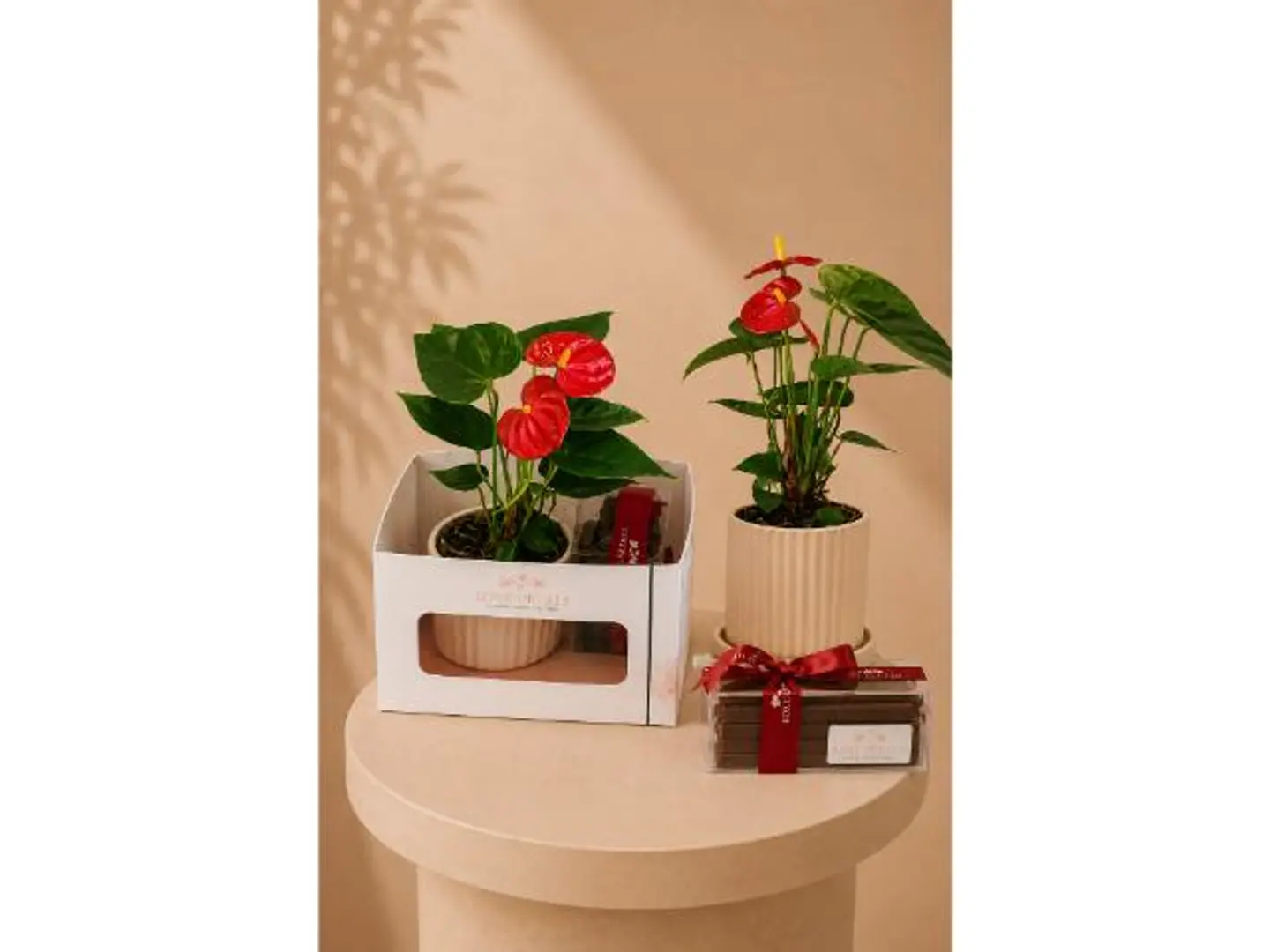 (54) Anthurium & Belgian Chocolate Stick