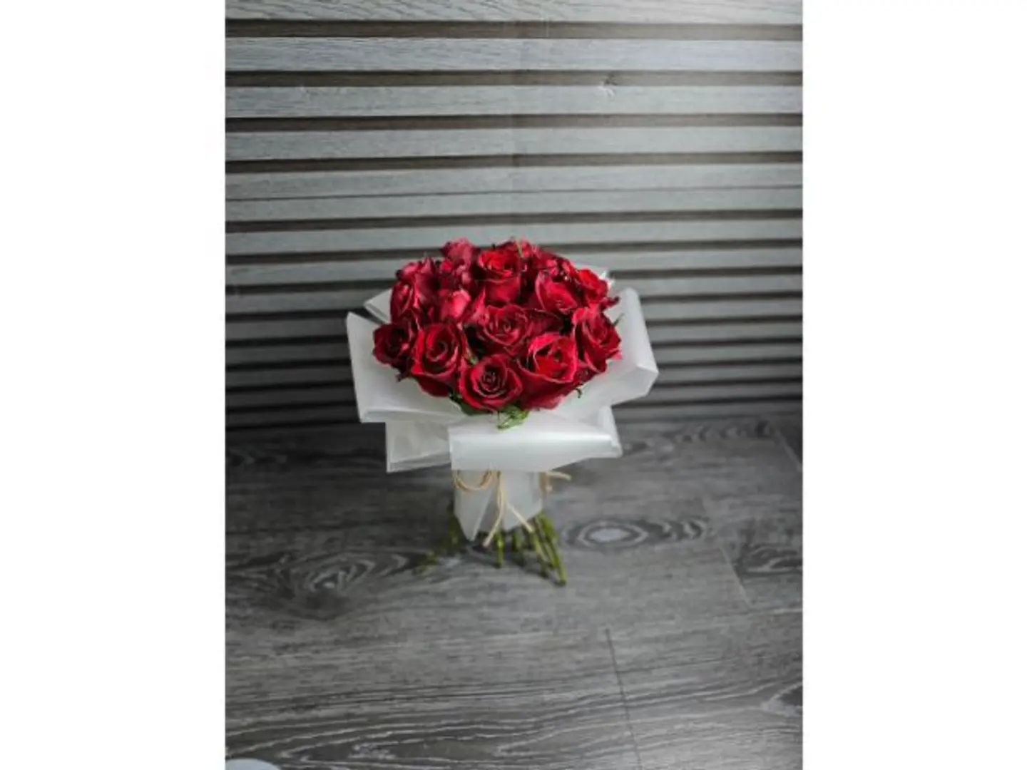 روز 103