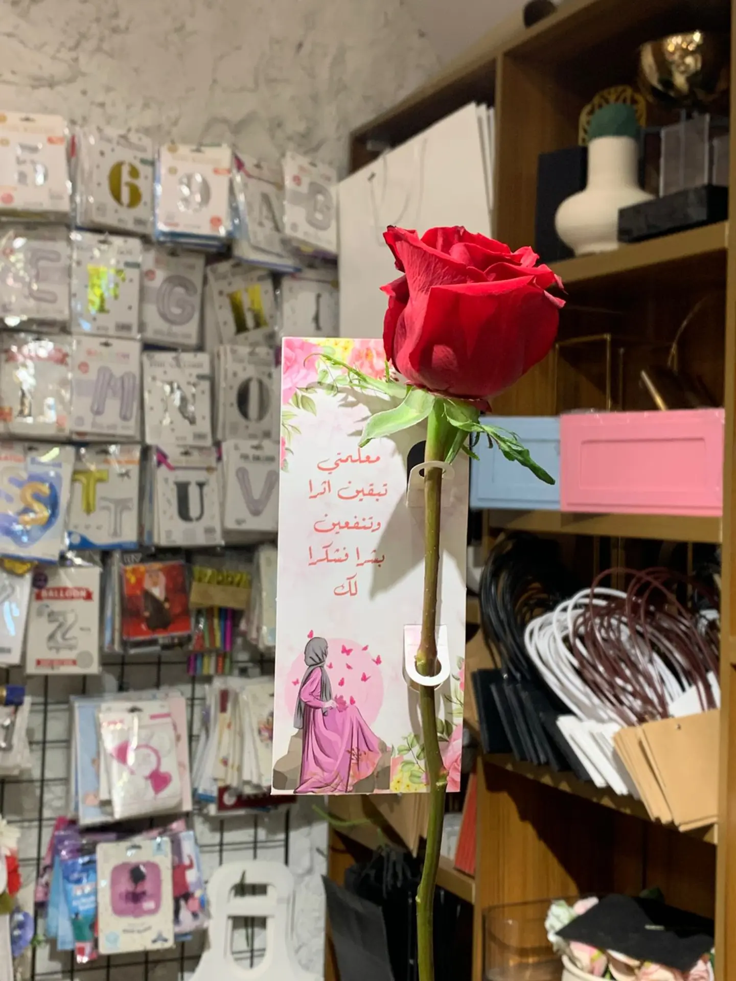 Rose For My Attractive Teacher