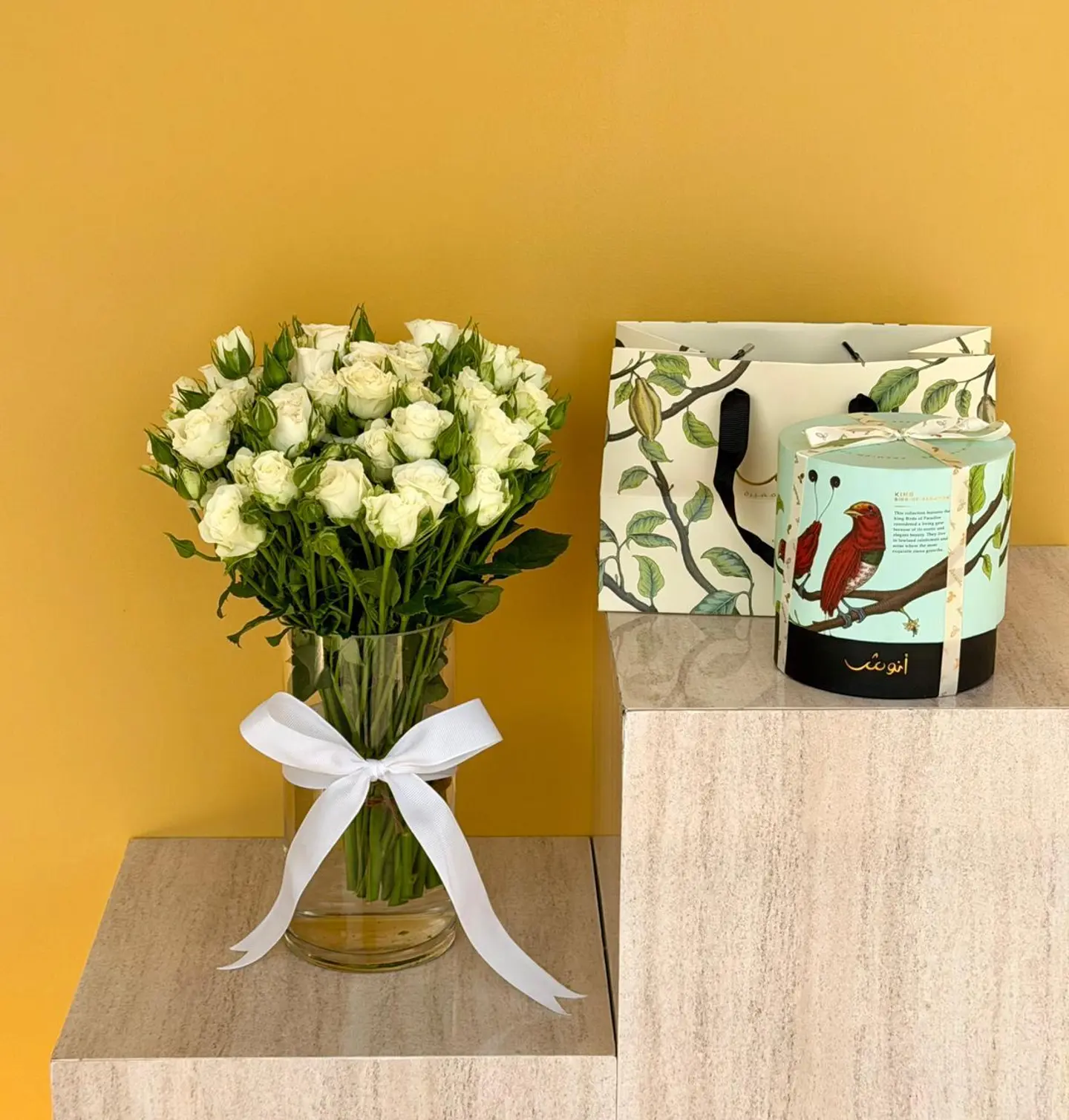 فازه وشوكلت انوش