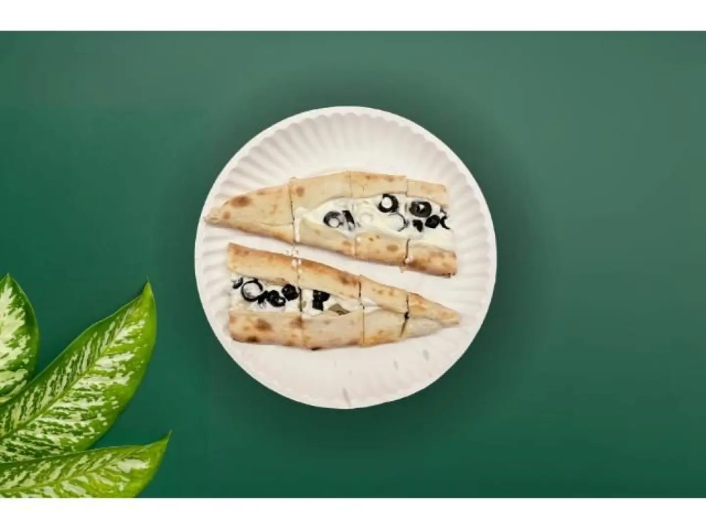 Olive Cheese