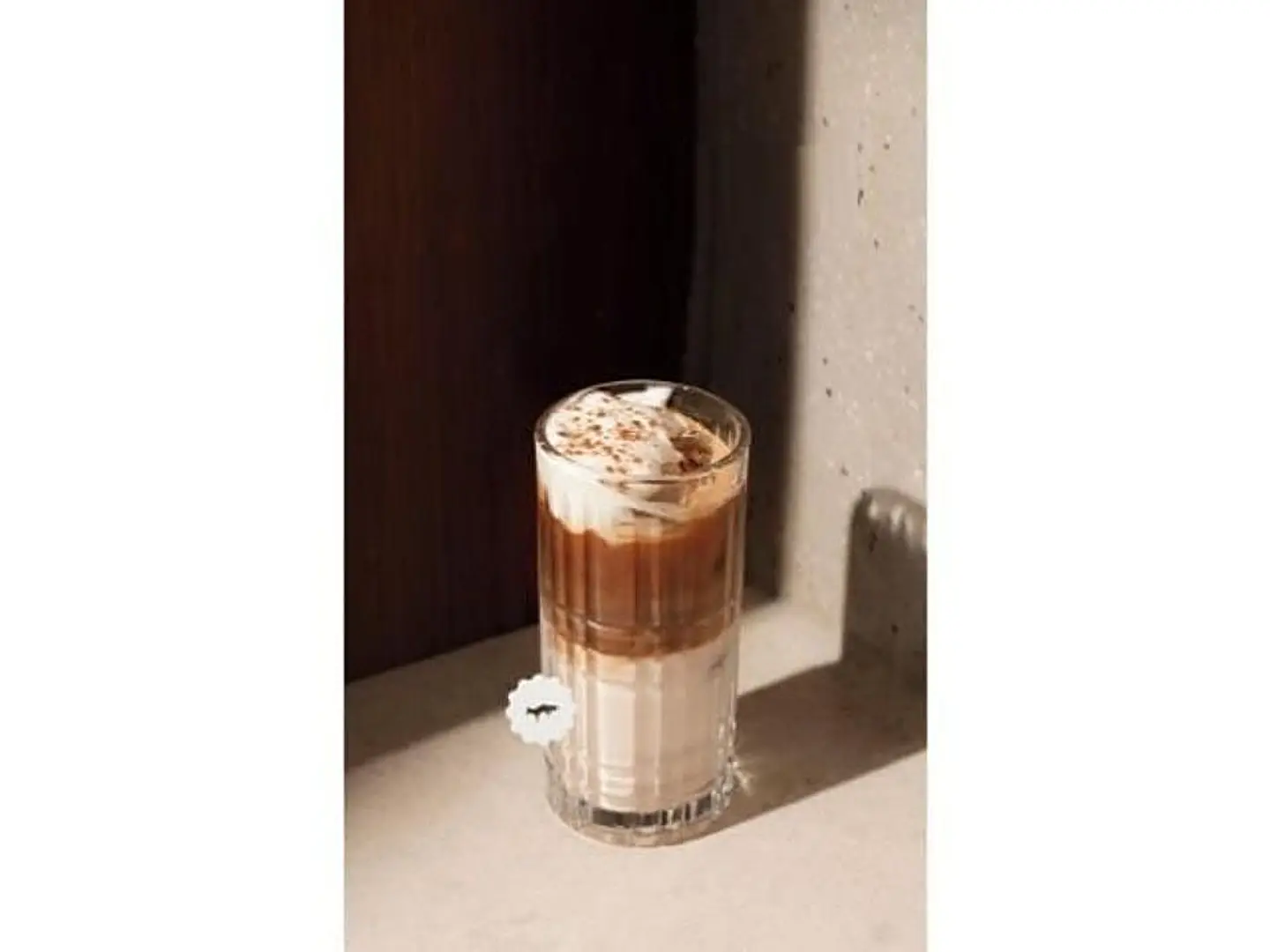 ايس سيا سيجنيتشر