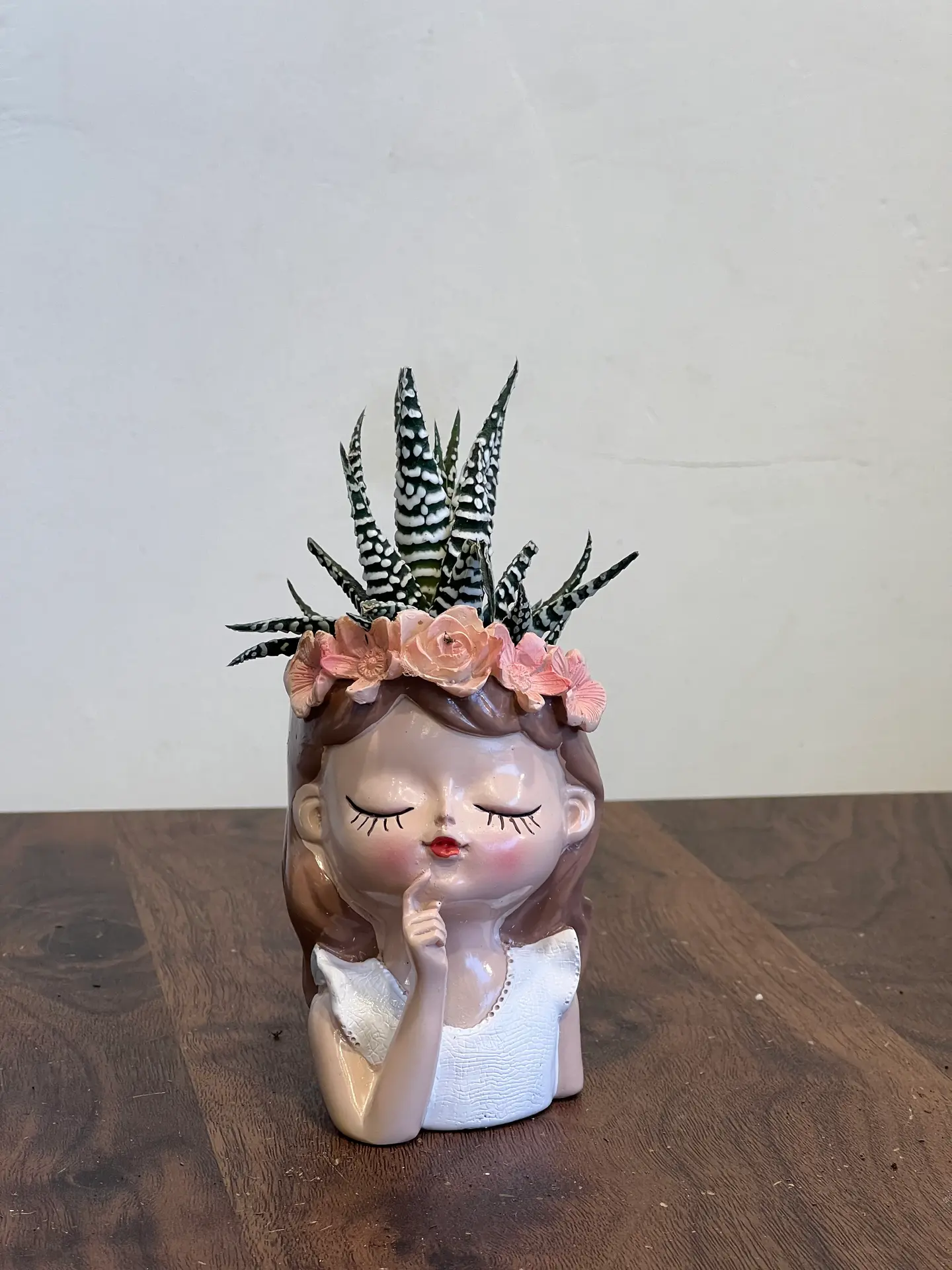 A Palace Nymph Plant In A Pot With A White Shirt