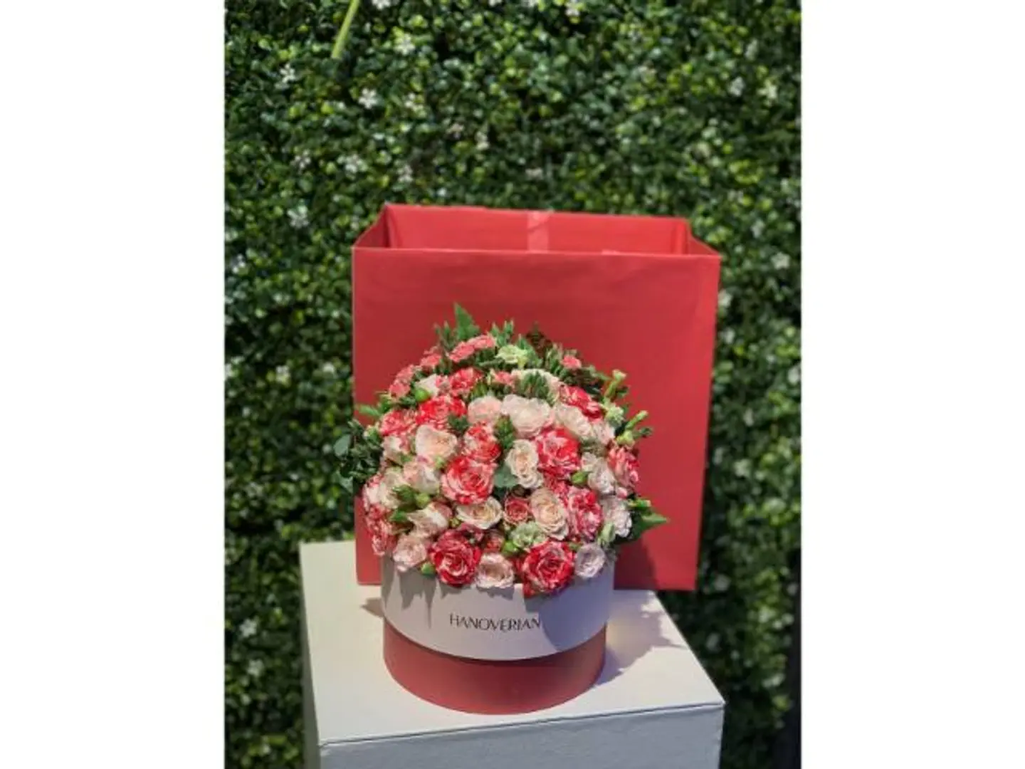 باقة هانوفريان