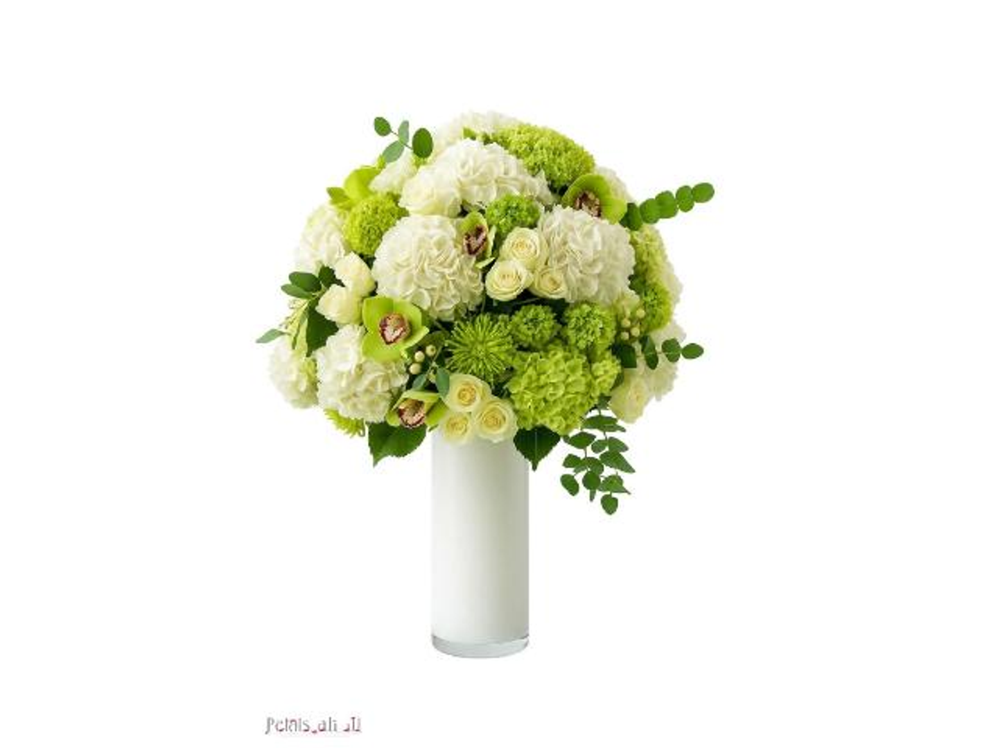 فازة الراية