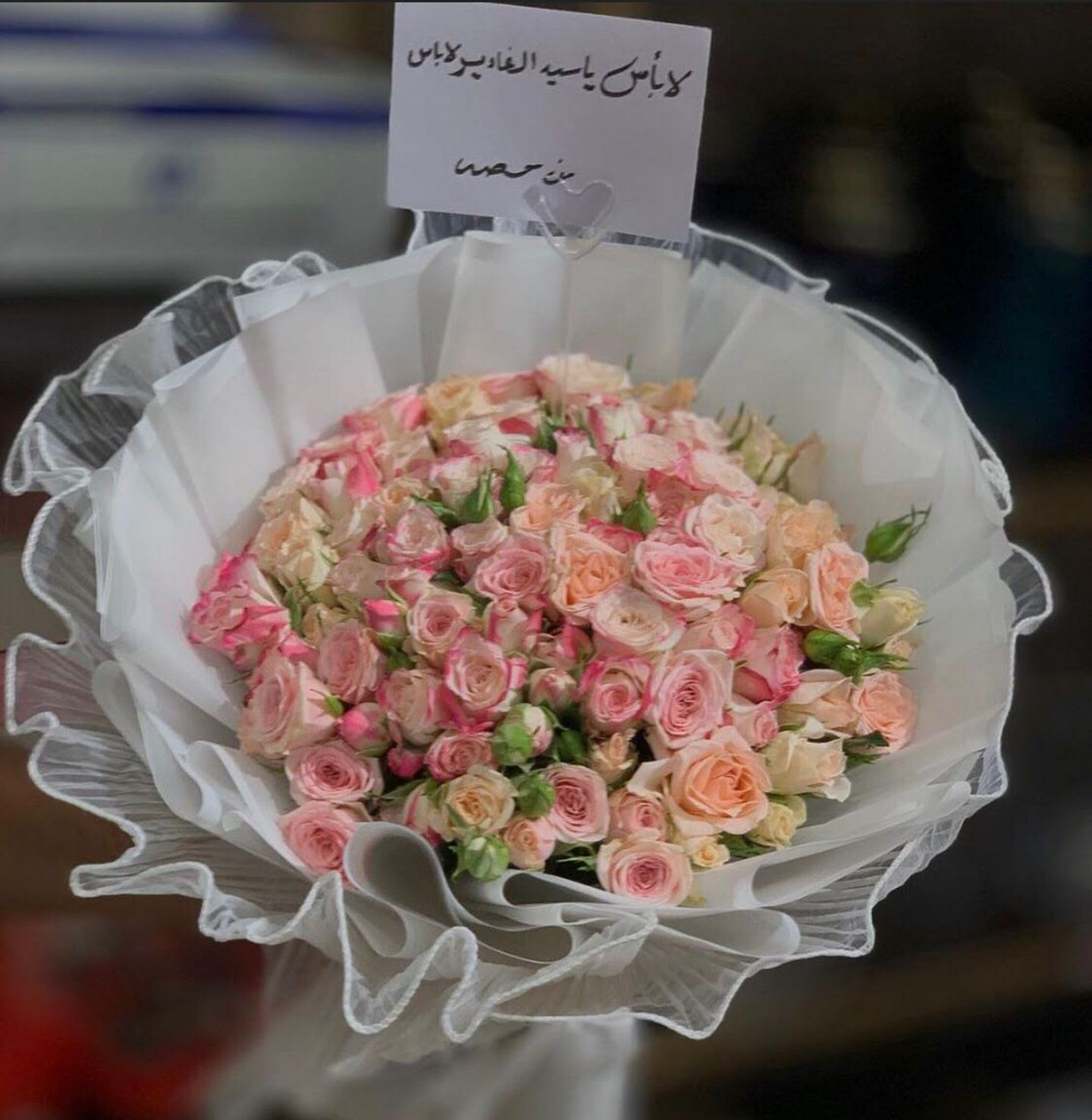 باقة السلامة 2