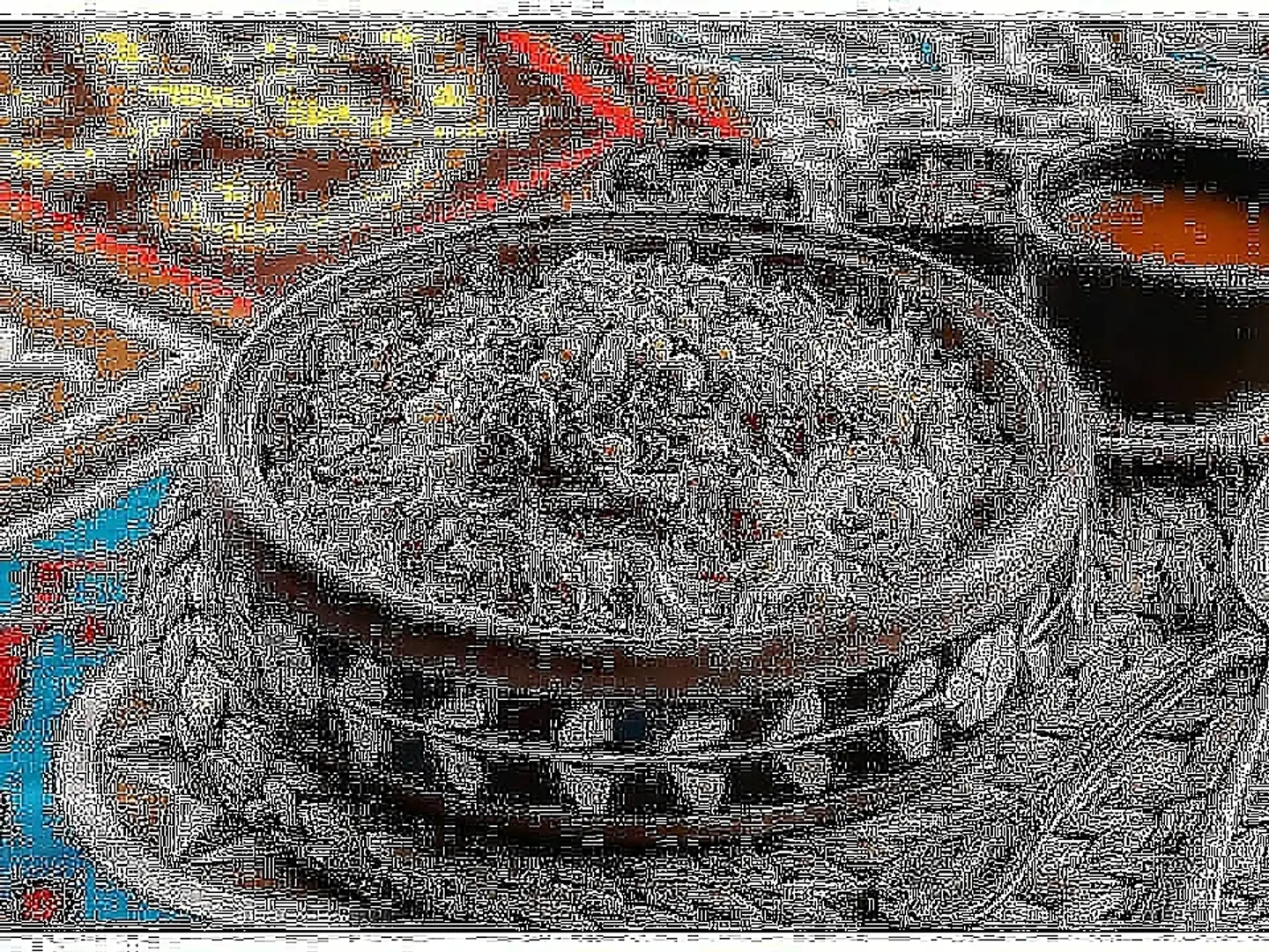 Medium Koshari Box With Chicken