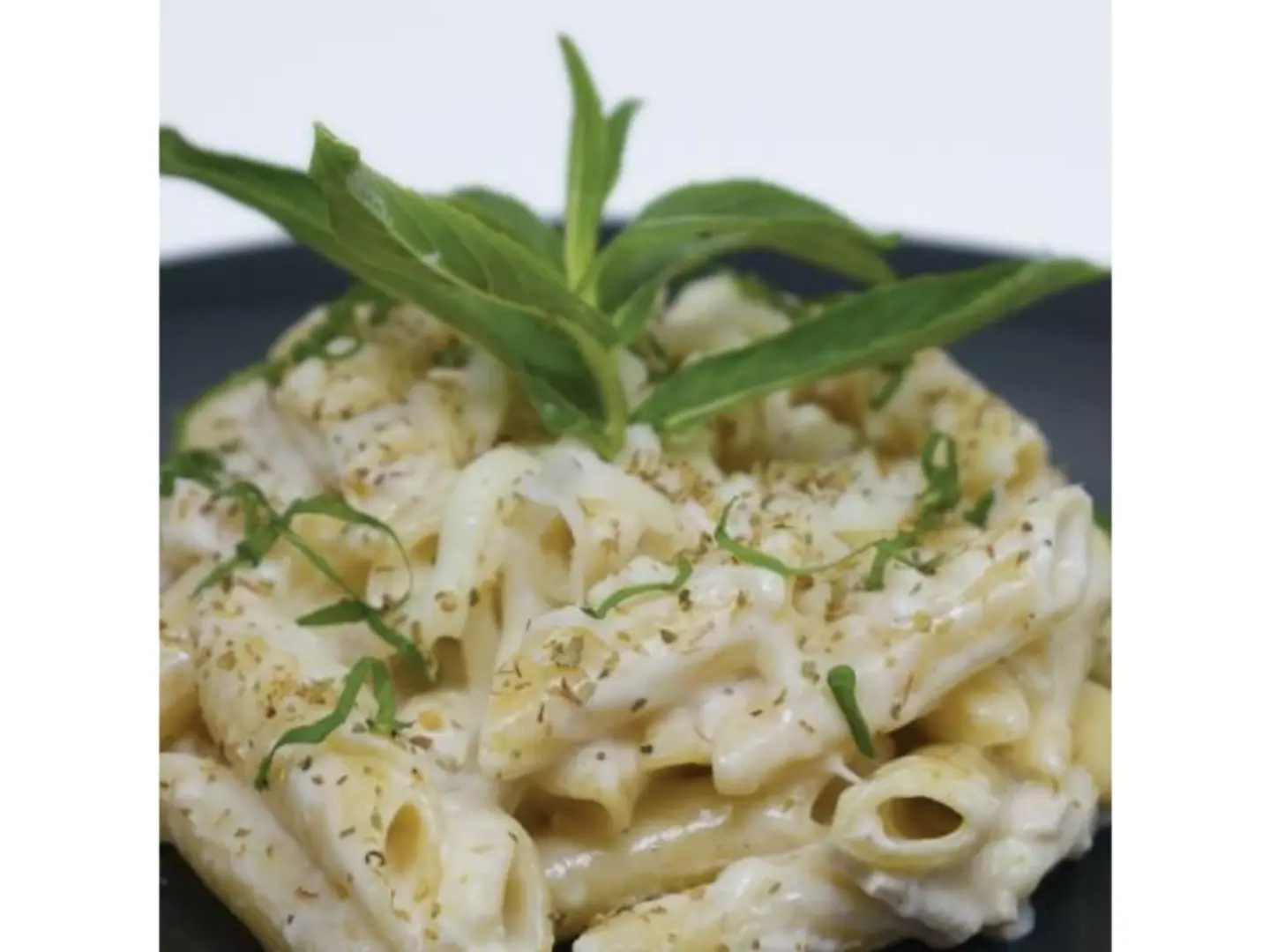 Chicken Alfredo
