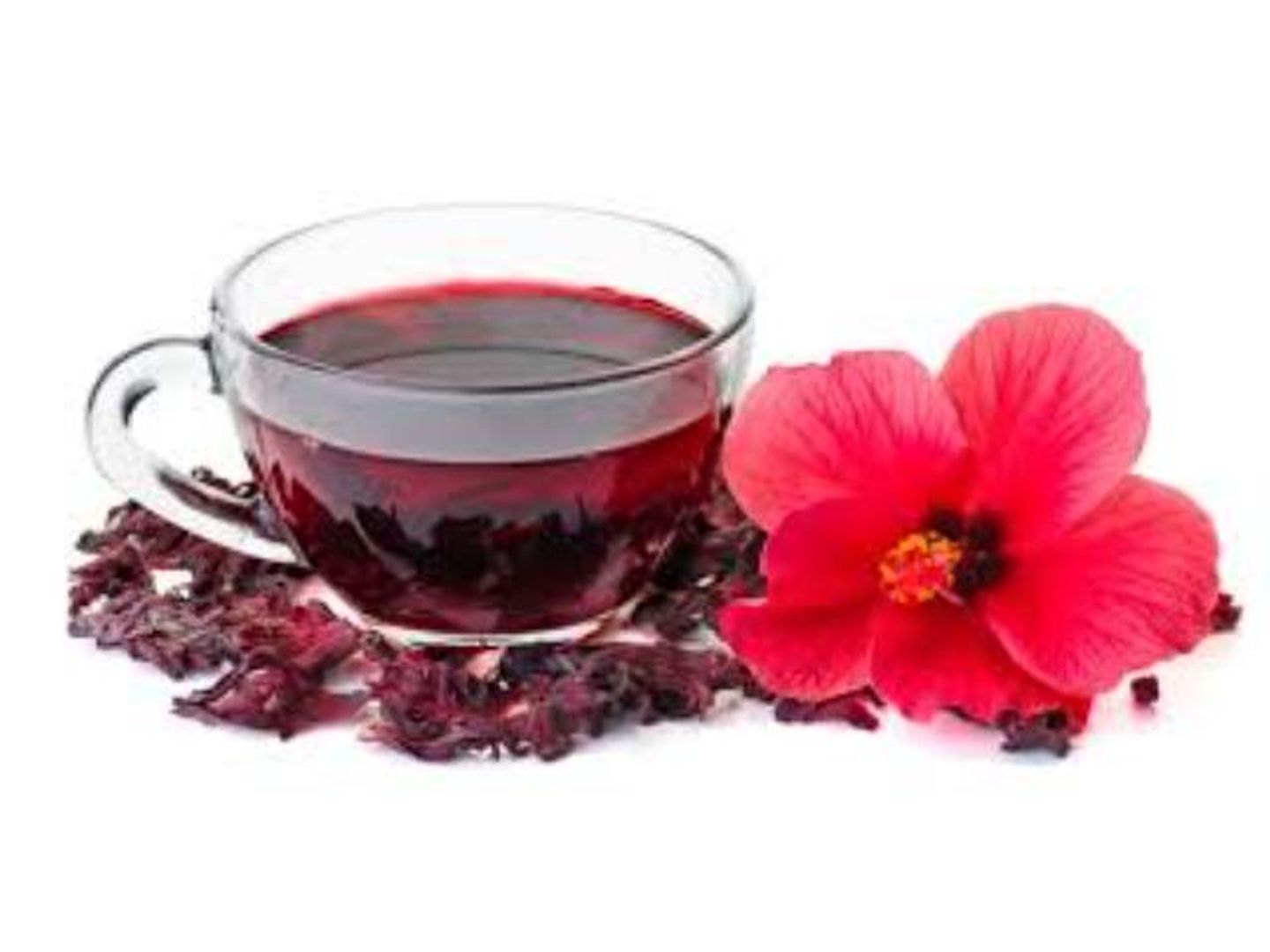 Hibiscus