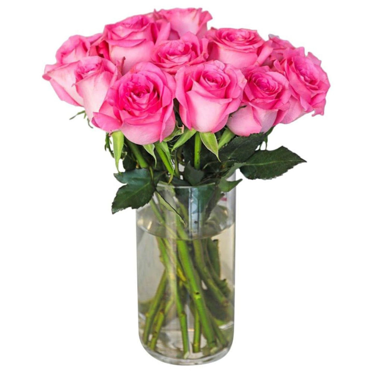 Pink Rose Vase