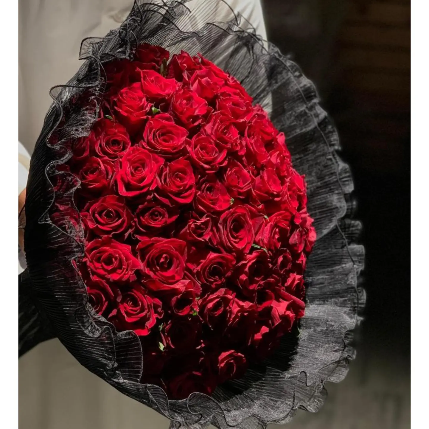 جوري احمر3