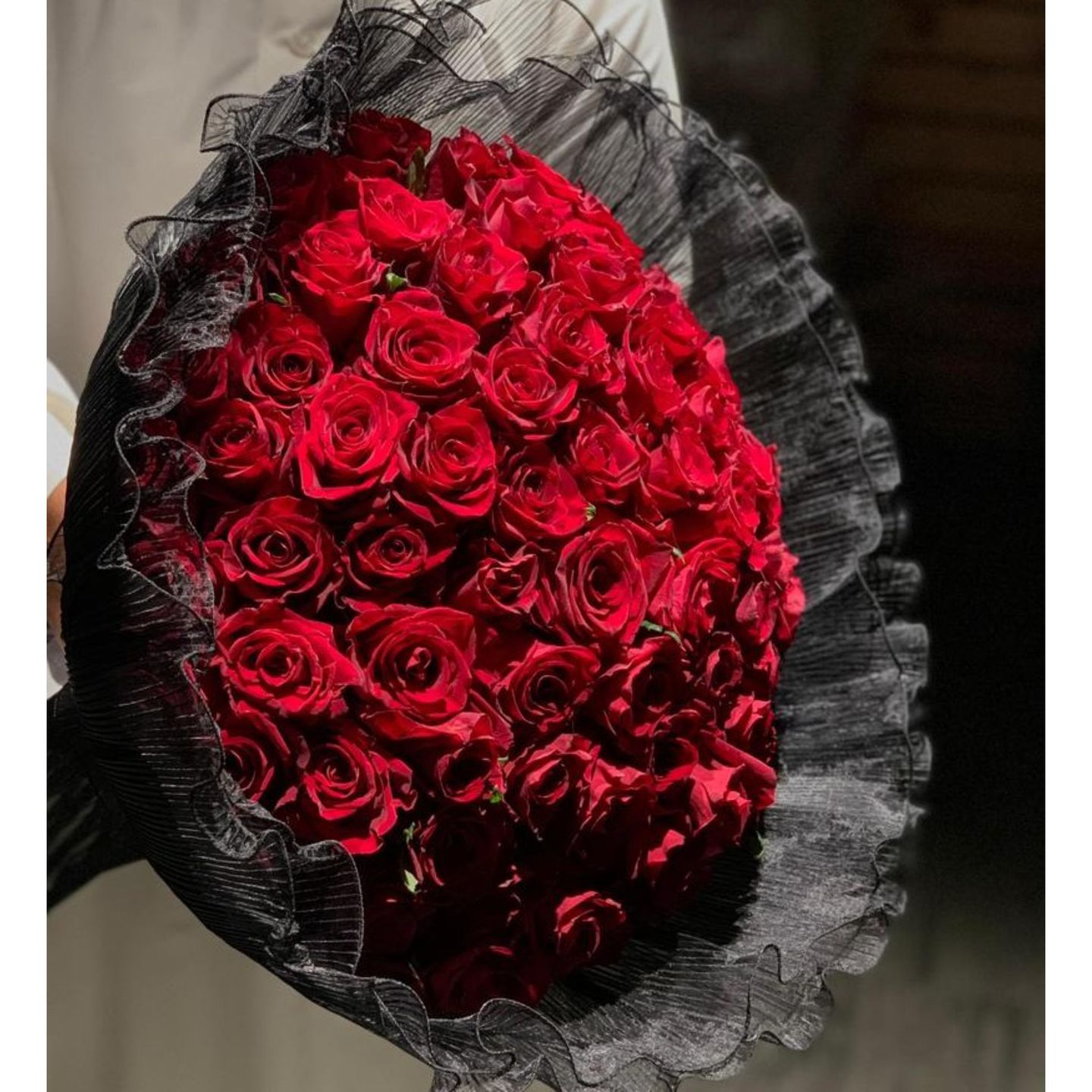 جوري احمر3