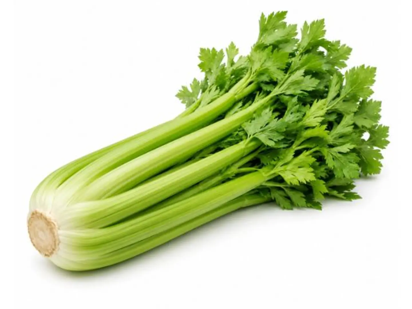Bundle Of Celery