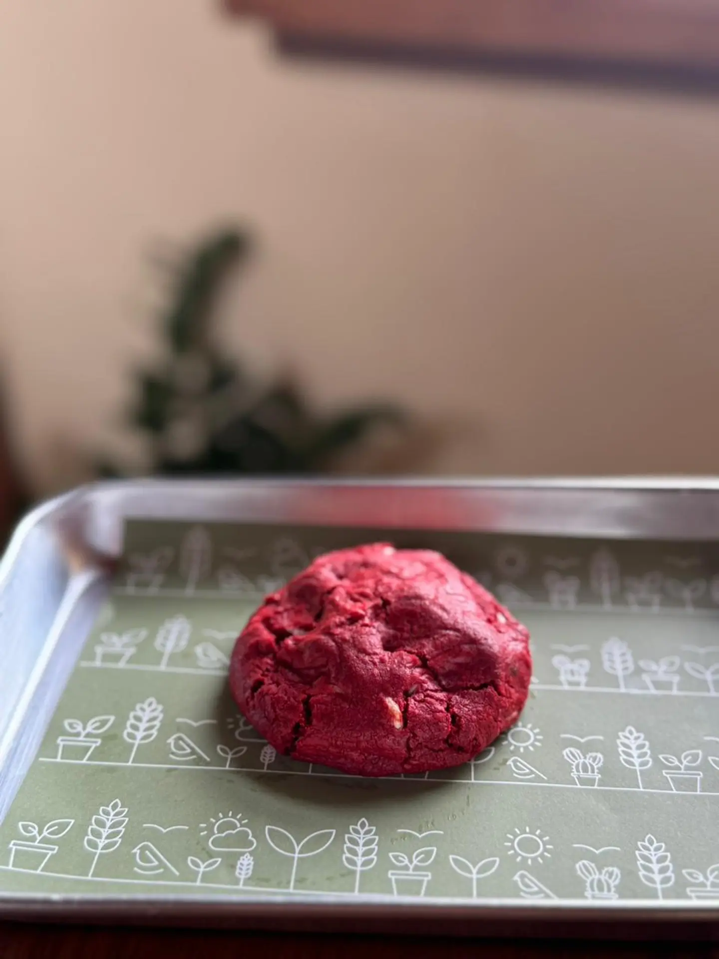 كوكيز رد فلفت