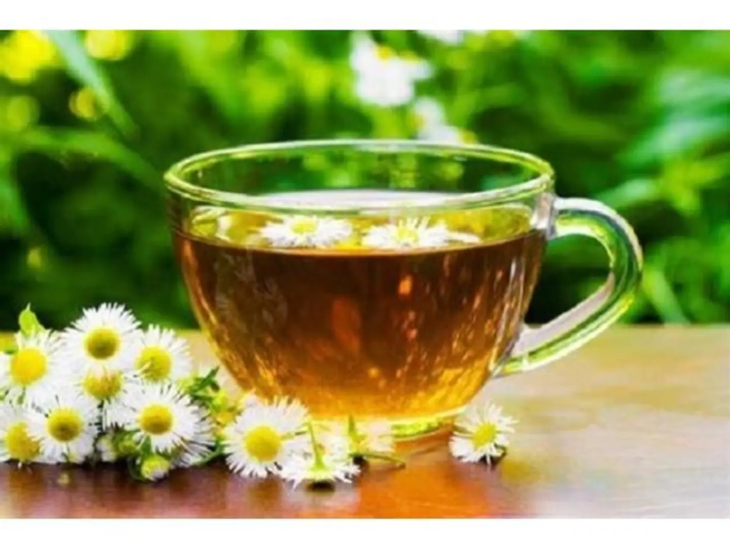 Chamomile Tea